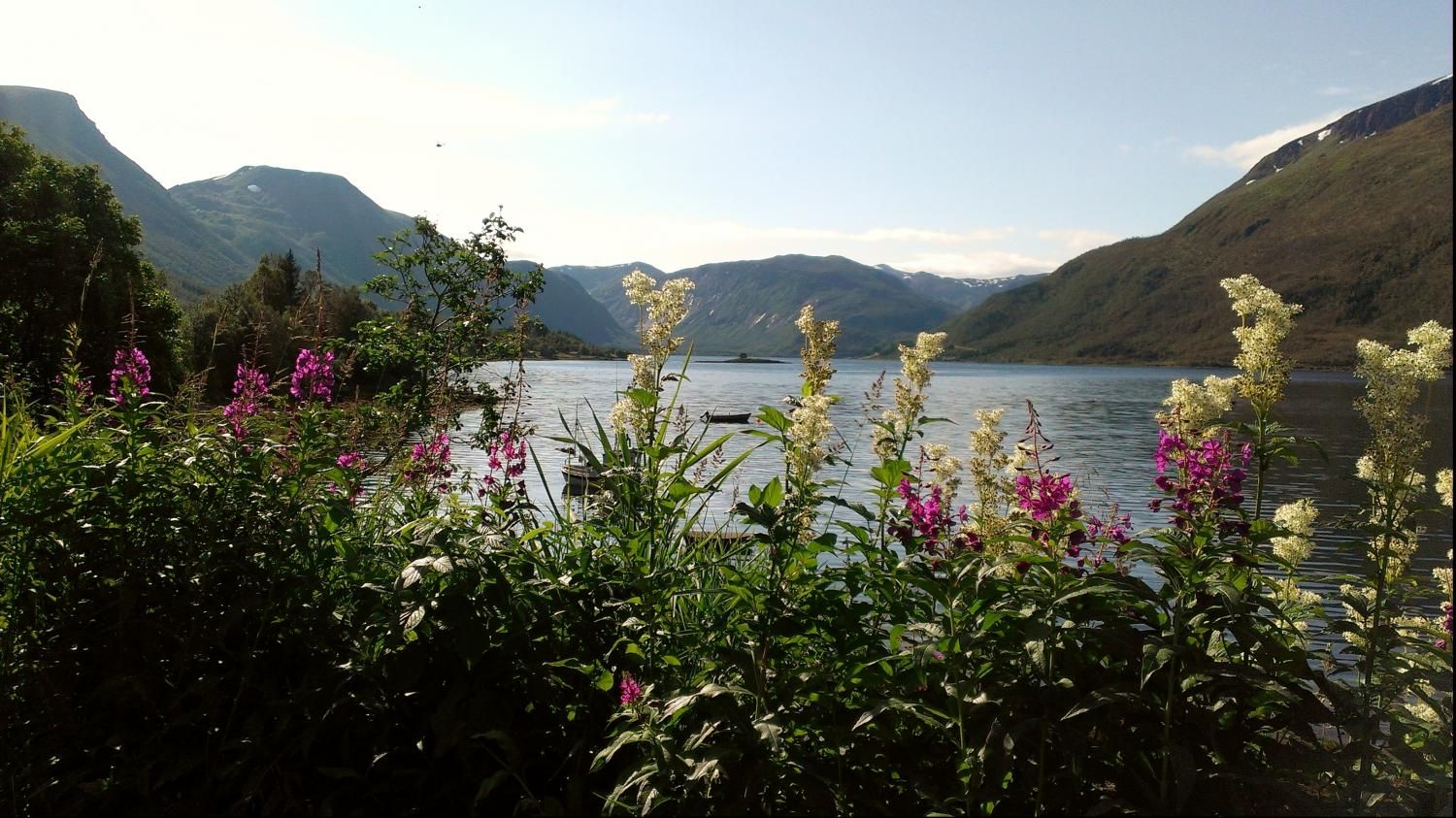 Lesernes Sommerbilder Ht no