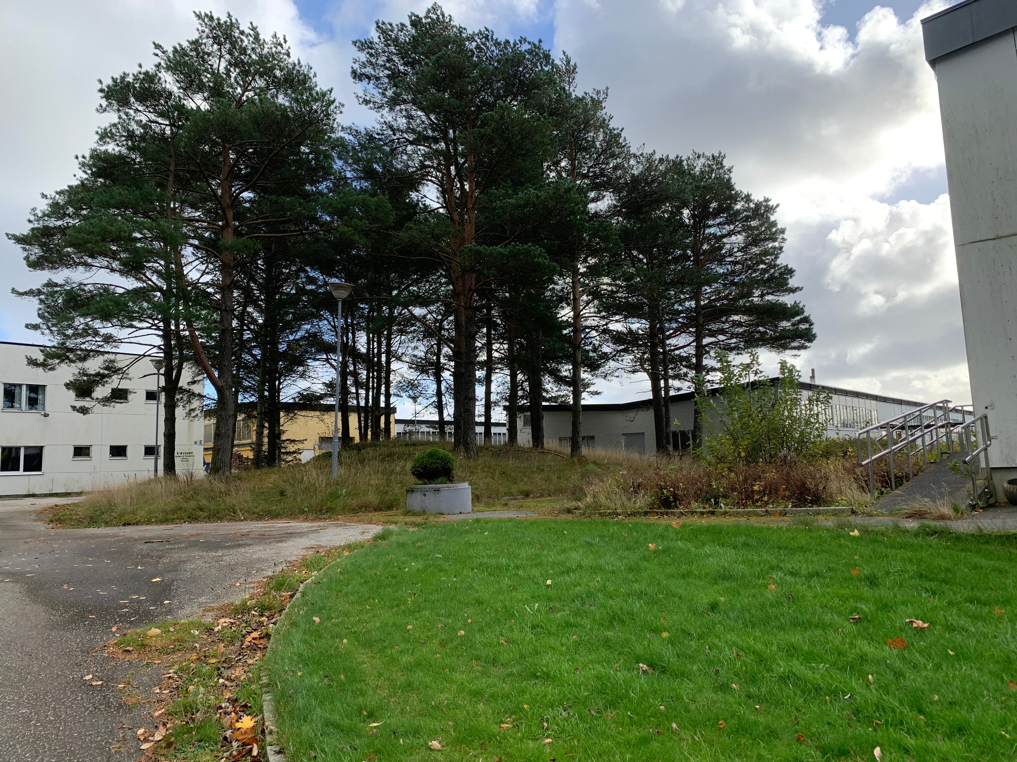 «Vi mener Tingvollen er et godt valg»