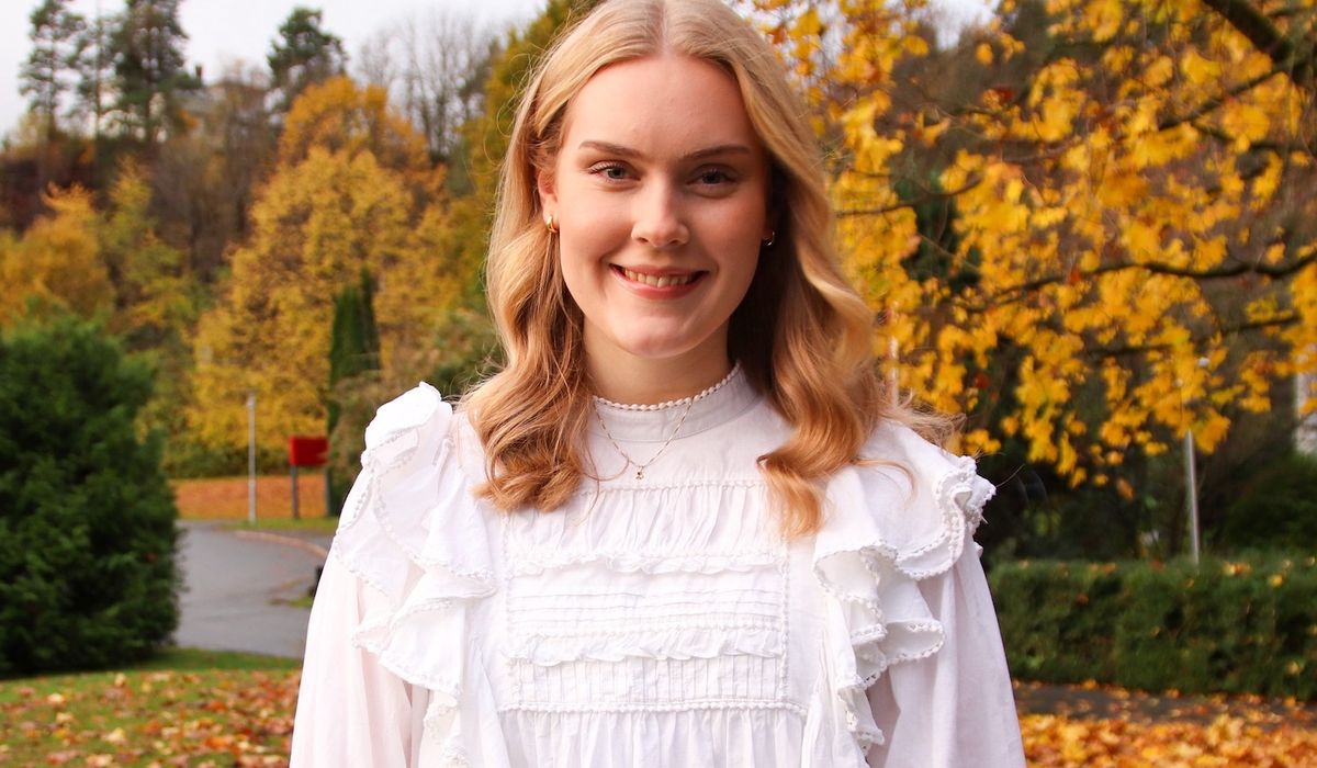 Hvis velgerne er forvirret, har de helt rett