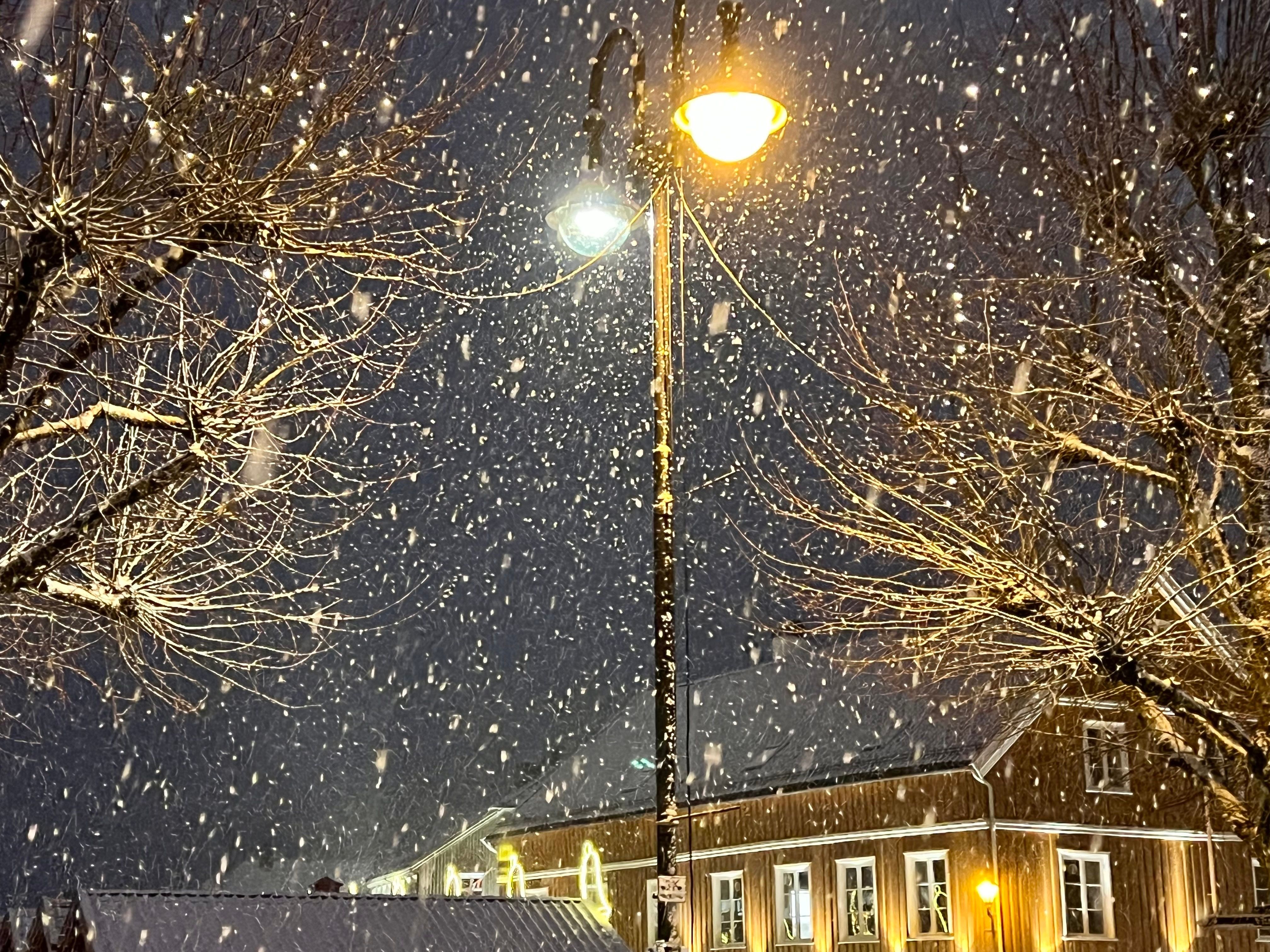 Spår snø: – Kanskje eneste på Sørlandet som kan få hvit jul ...