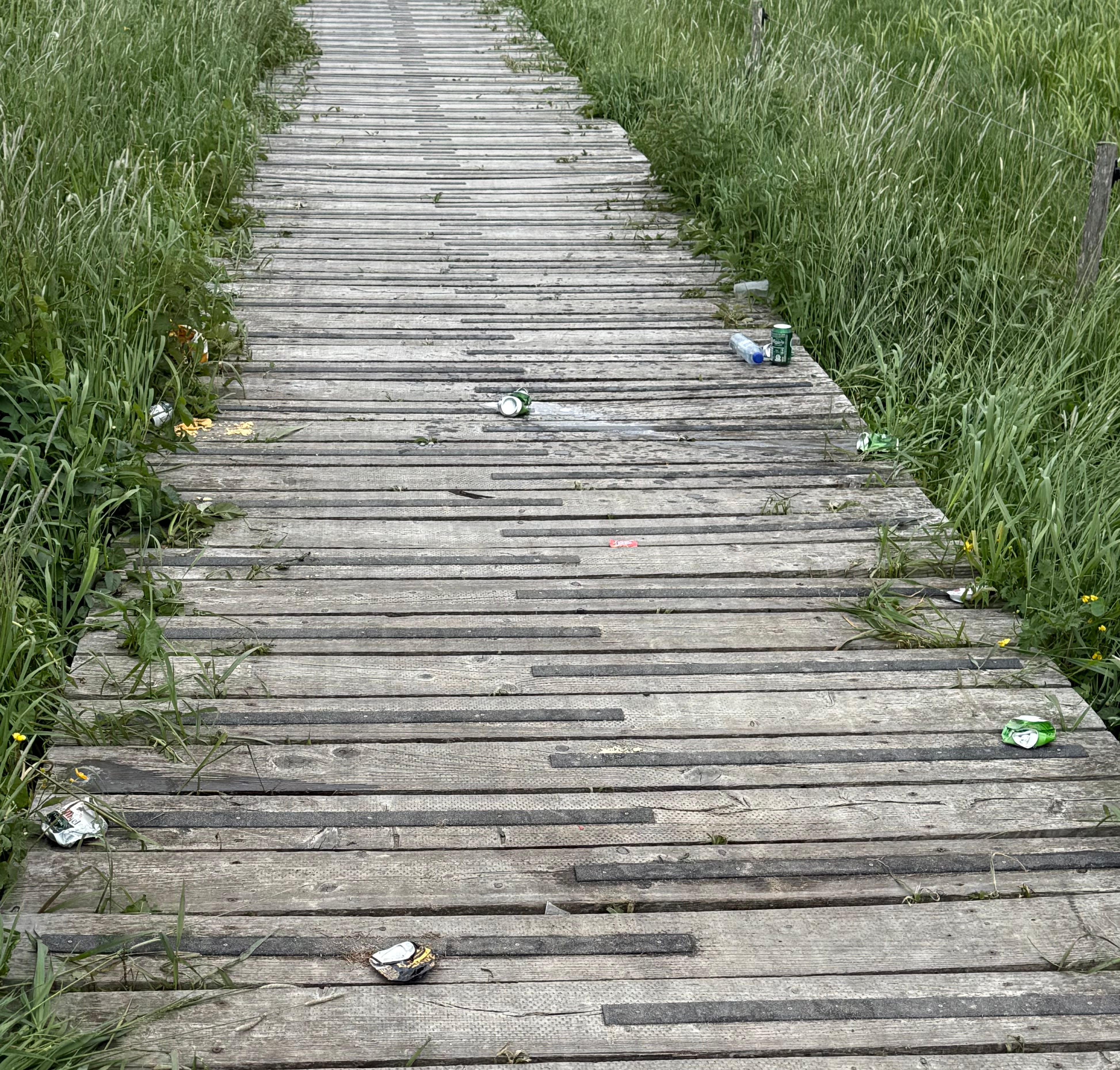 Jeg møtte hundrevis av meget berusede norske syklister