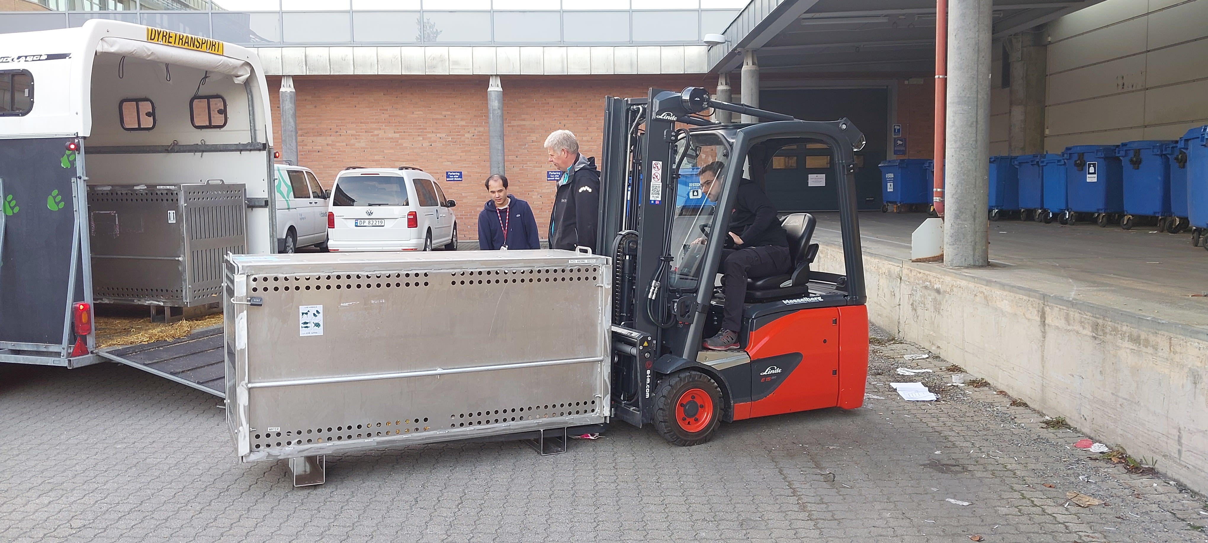 Her sendes to løver fra Kristian­sand til Singa­pore