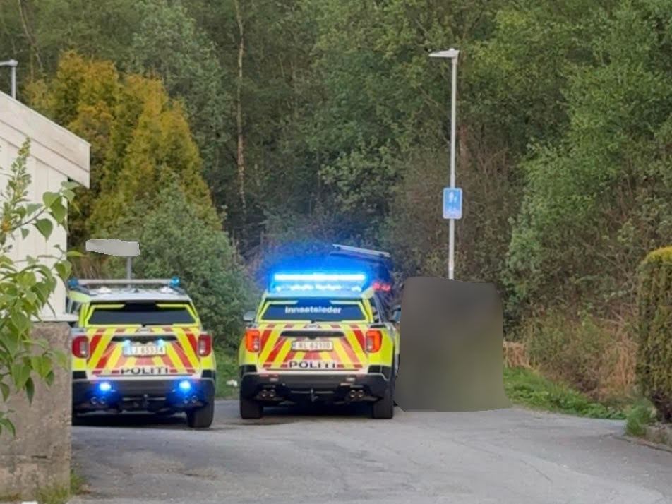 Tenåringer stoppet i stjålet bil etter biljakt