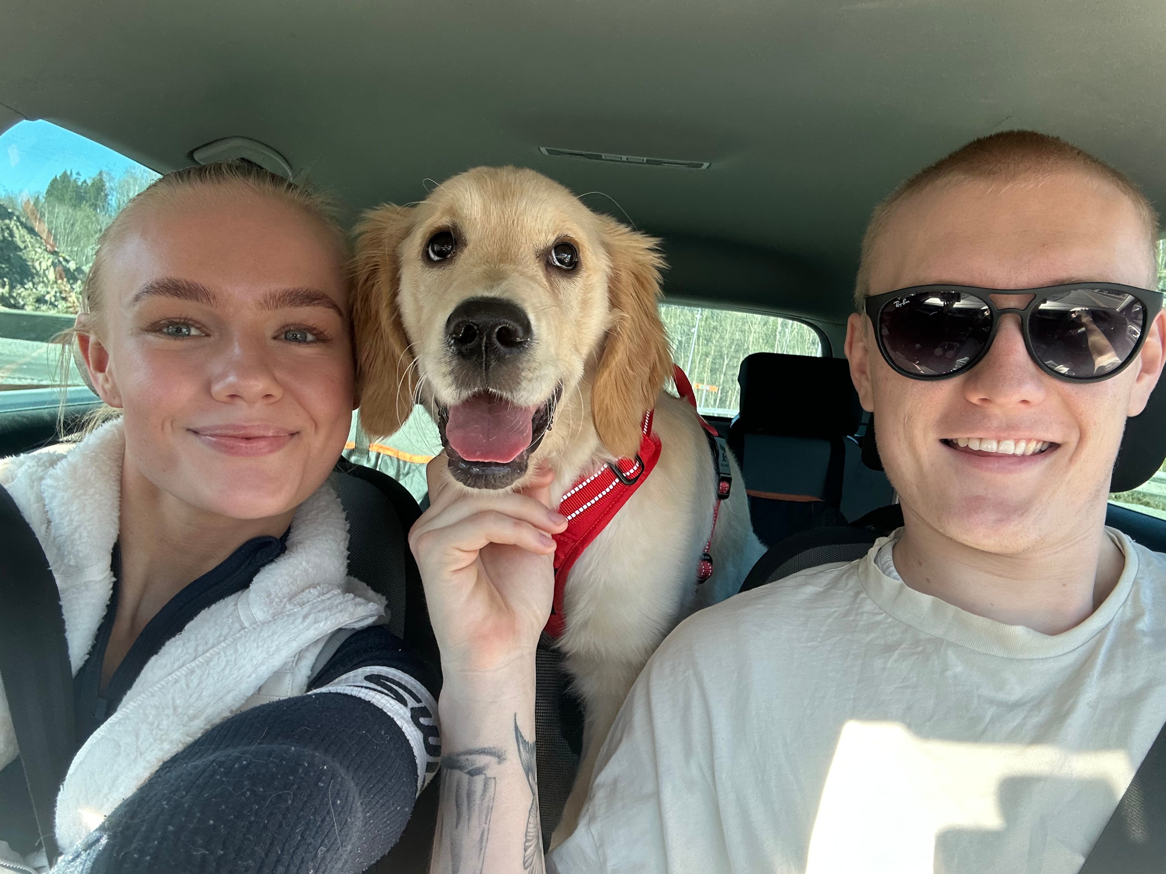 Hunden deres kollapset plutselig – årsaken var overras­kende