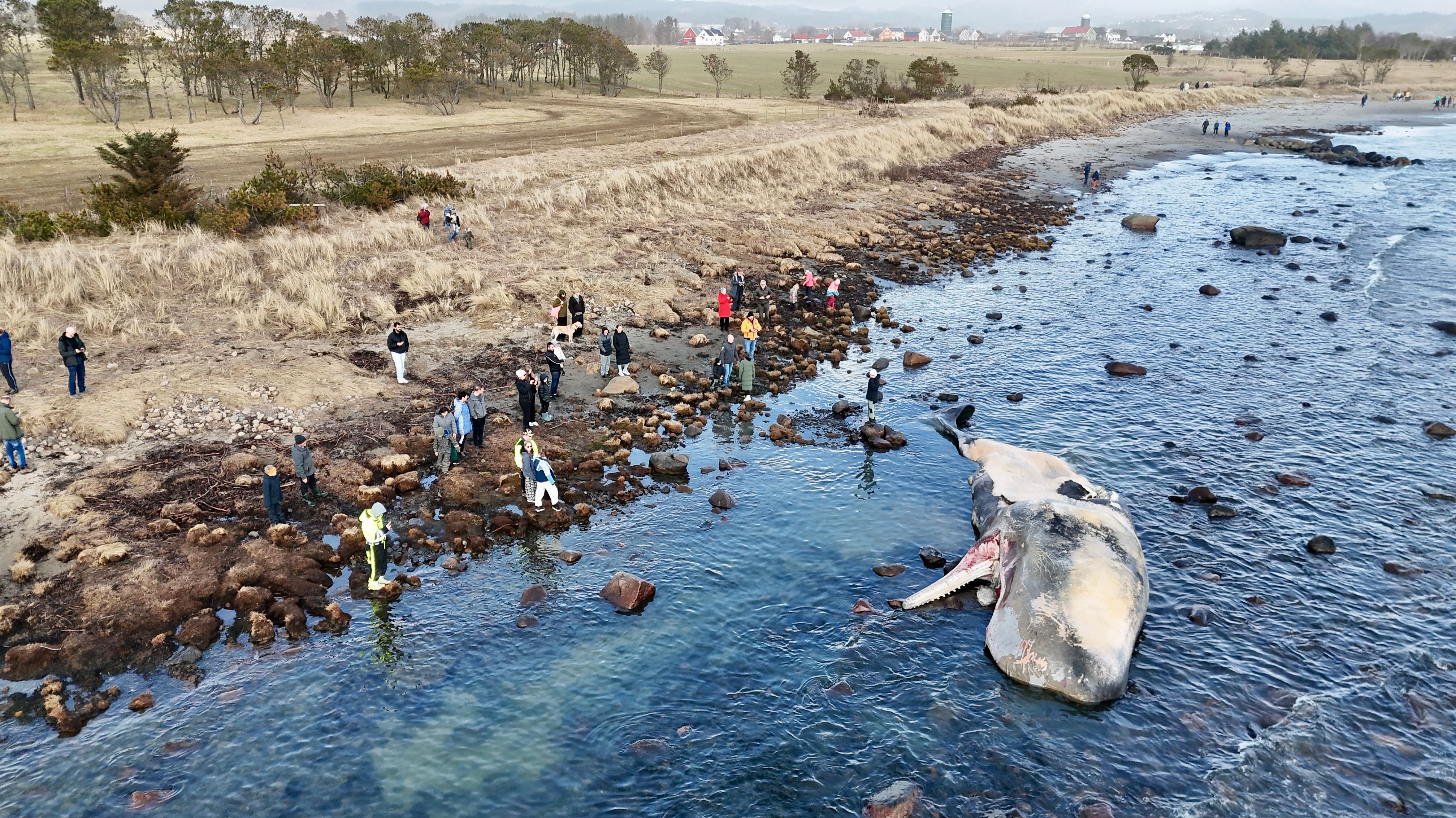 Sjokksyn: – Veldig spesielt