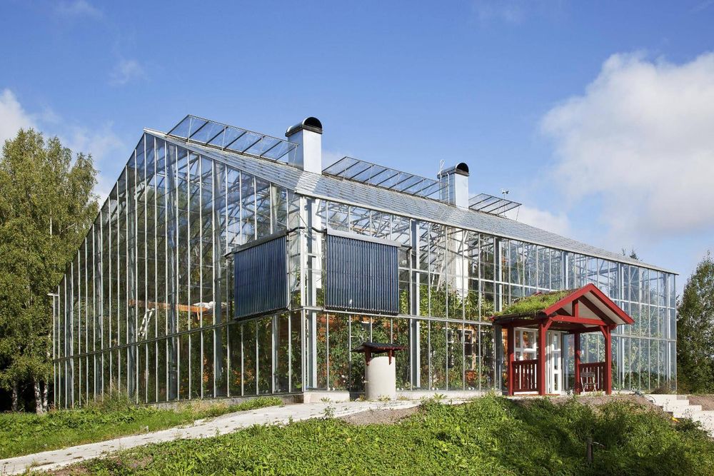 Drivhuset Steinkjer