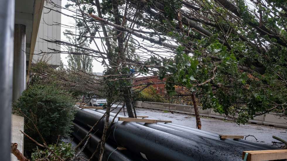 Omfattende skader på strømnettet i Agder etter ekstremværet - smp.no