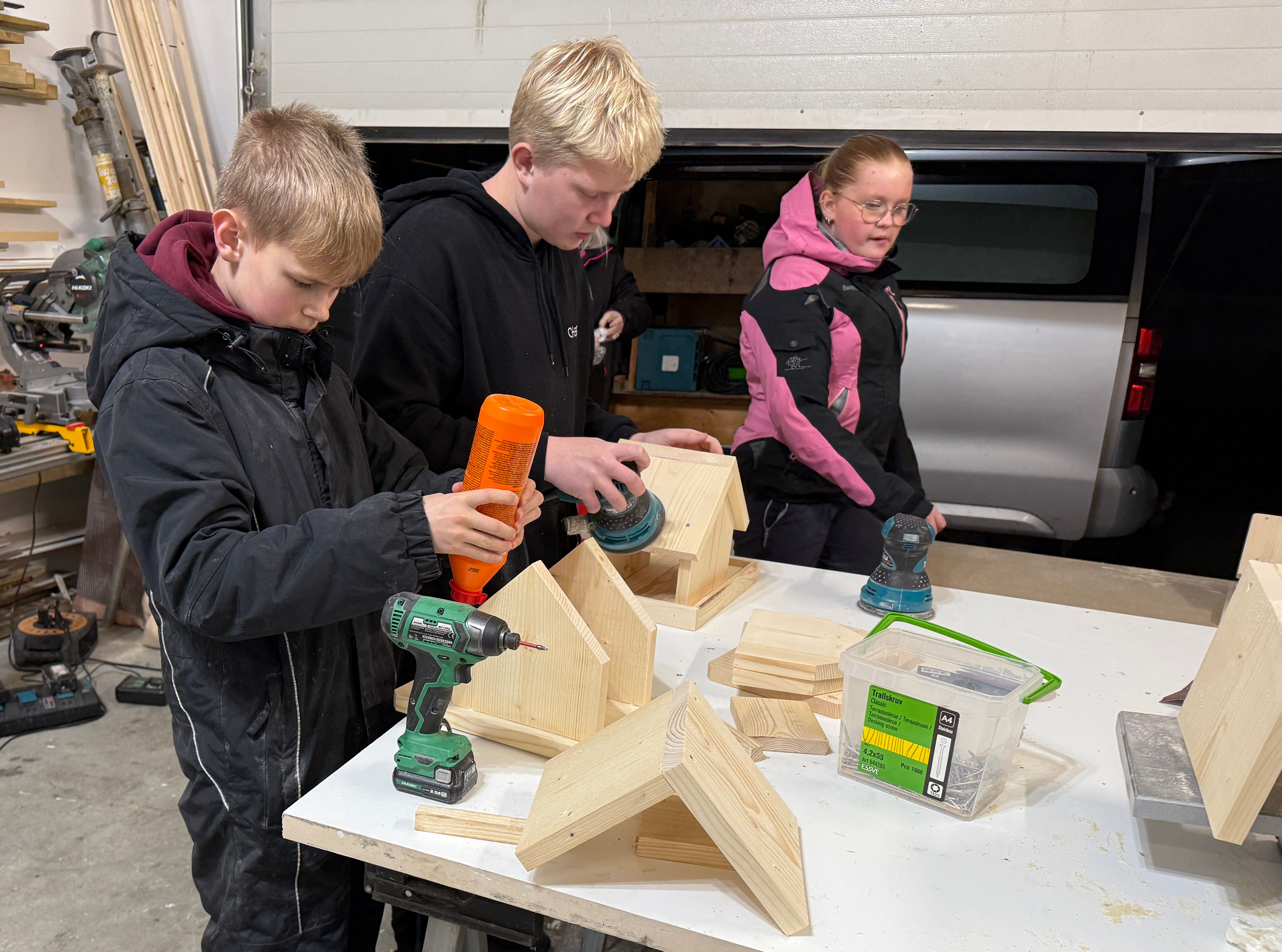 Fuglekasser gir penger i klassekassen