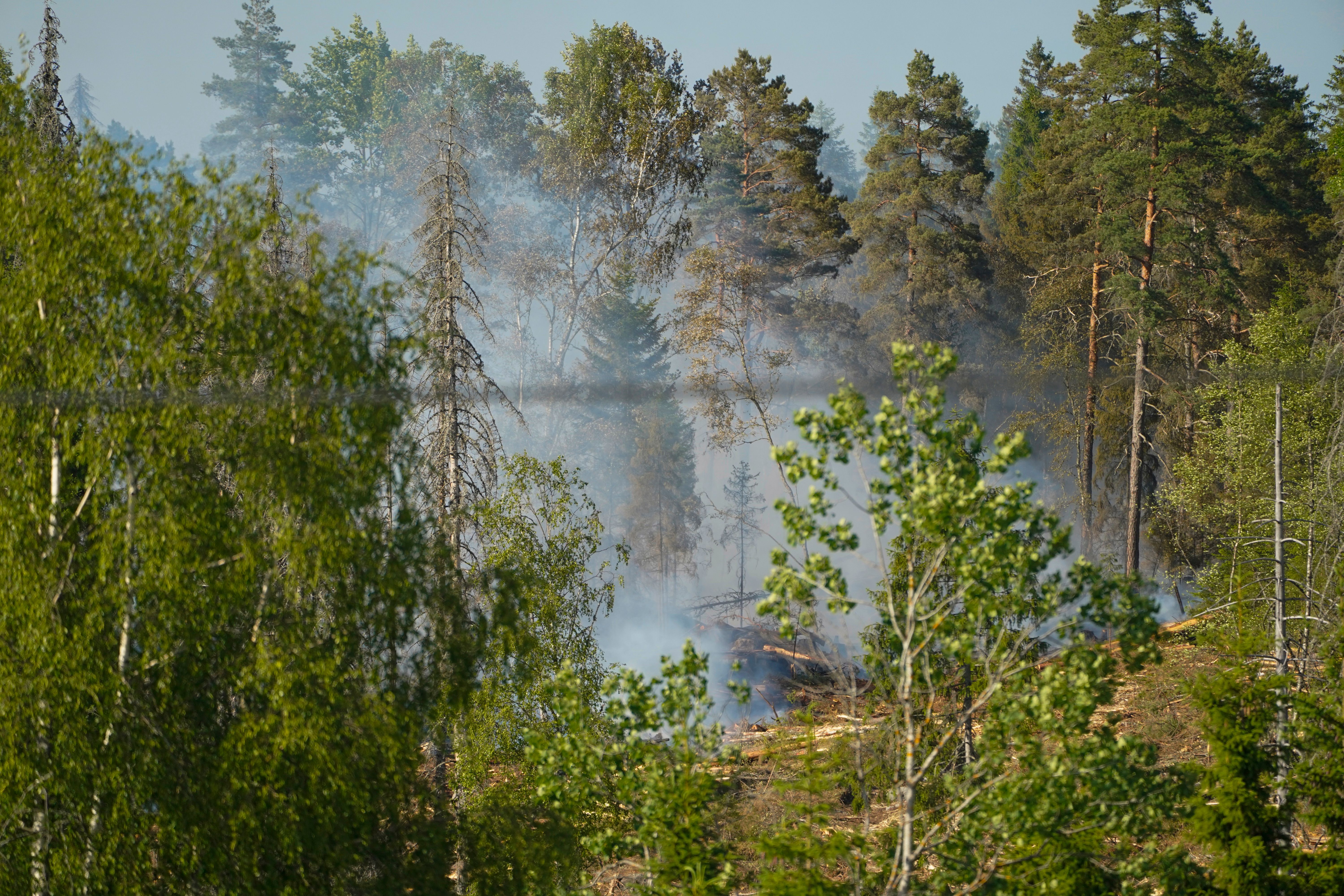 Nå er det forbud igjen