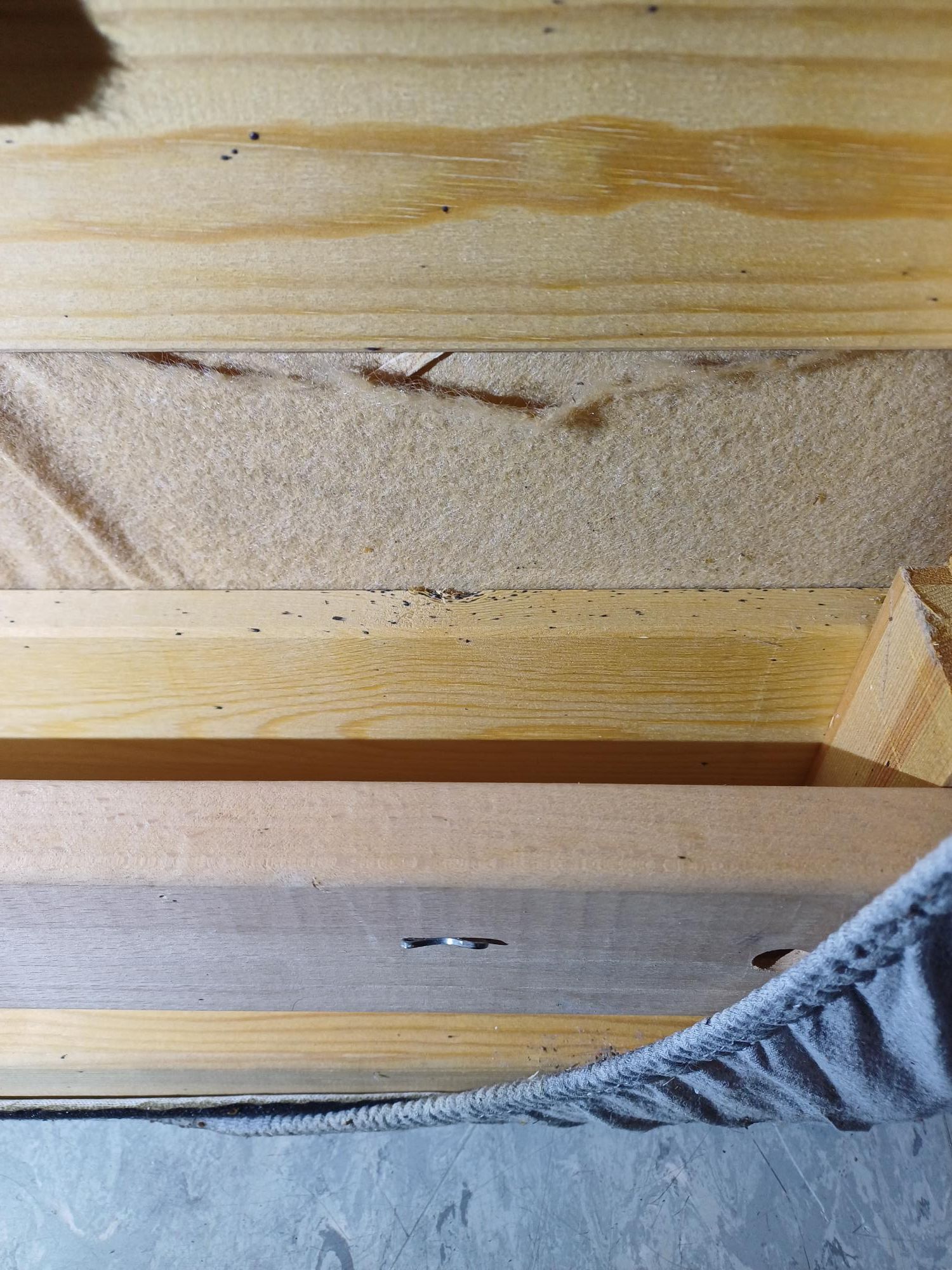 Ser det slik ut under senga di, er det fare på ferde