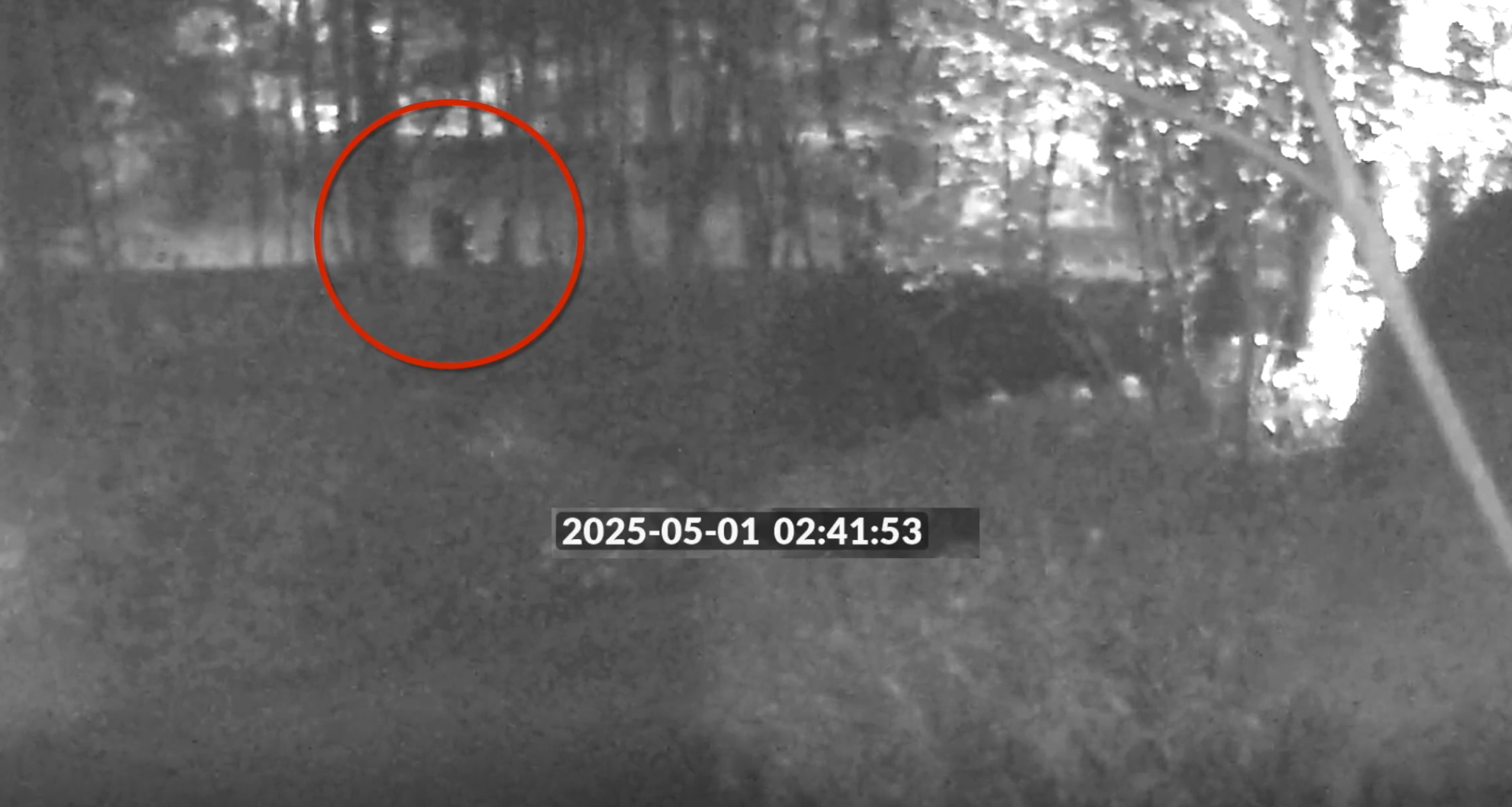 Har jaktet ukjent gjer­nings­mann i ni måne­der: – Skrem­mende