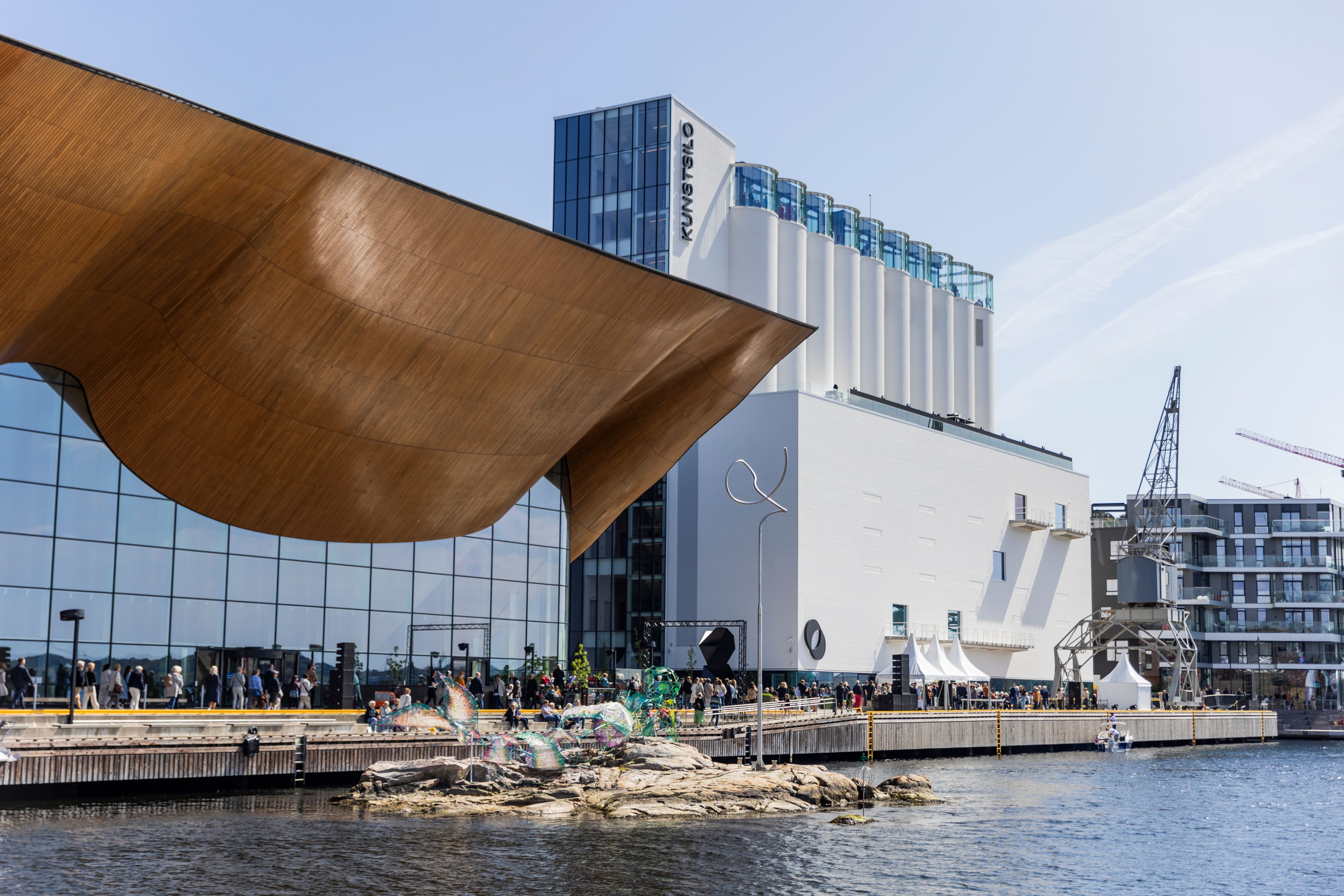 Andungen som ble en svane