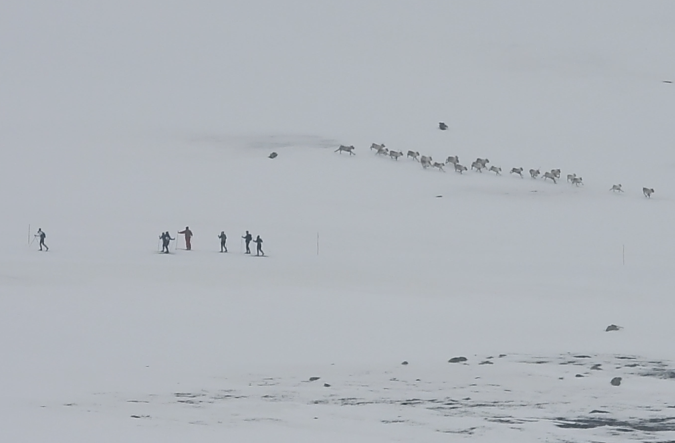 Hovden Tour må legges til et annet tidspunkt og et annet sted