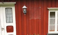 Stjal varer for 200.000 kroner – NRK Oslo og Viken – Lokale