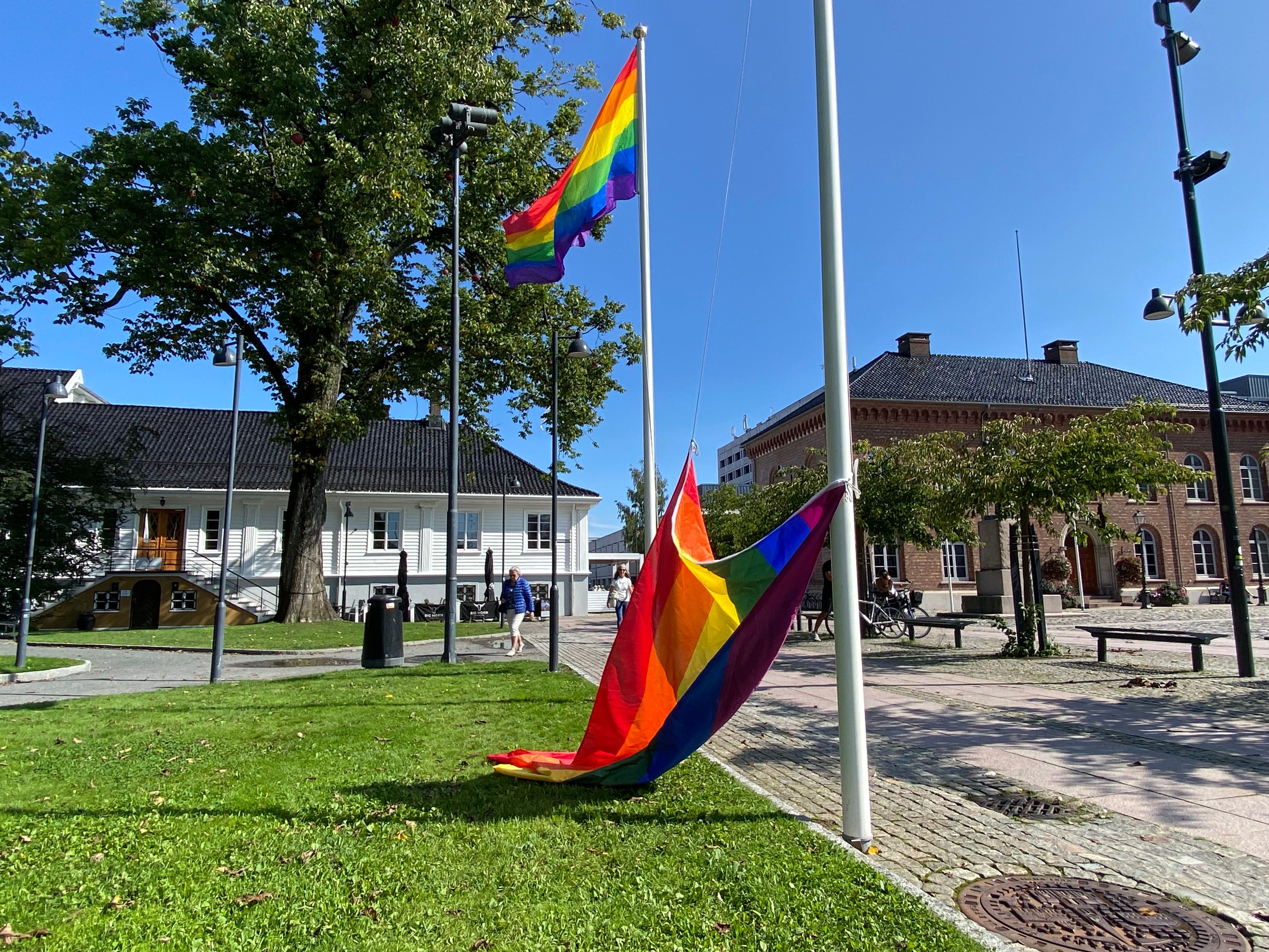 Barn blir ikke «omvendt» av et flagg – men noen voksne blir tydeligvis trigget av det
