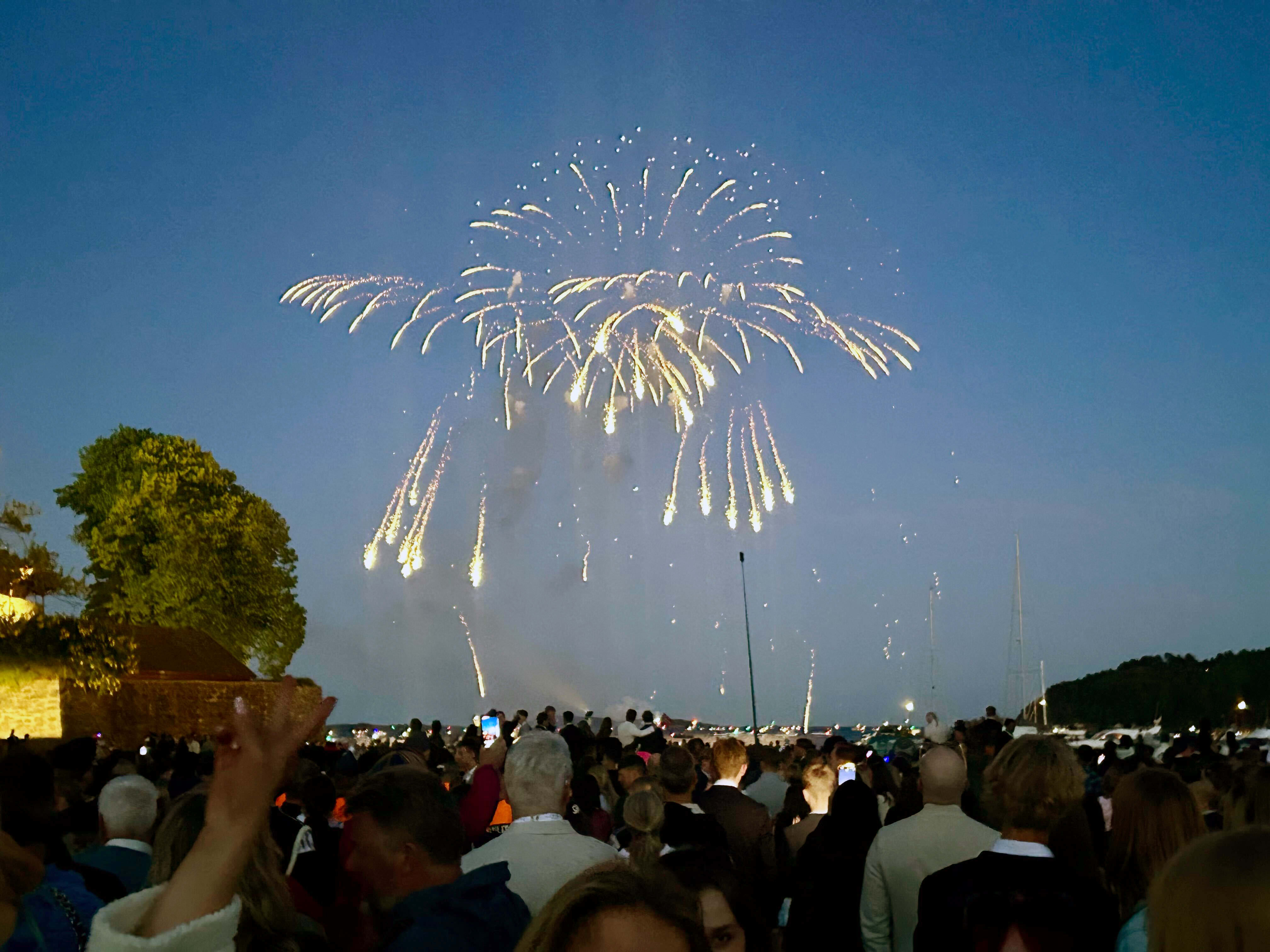 Fyrverkeri må forbys