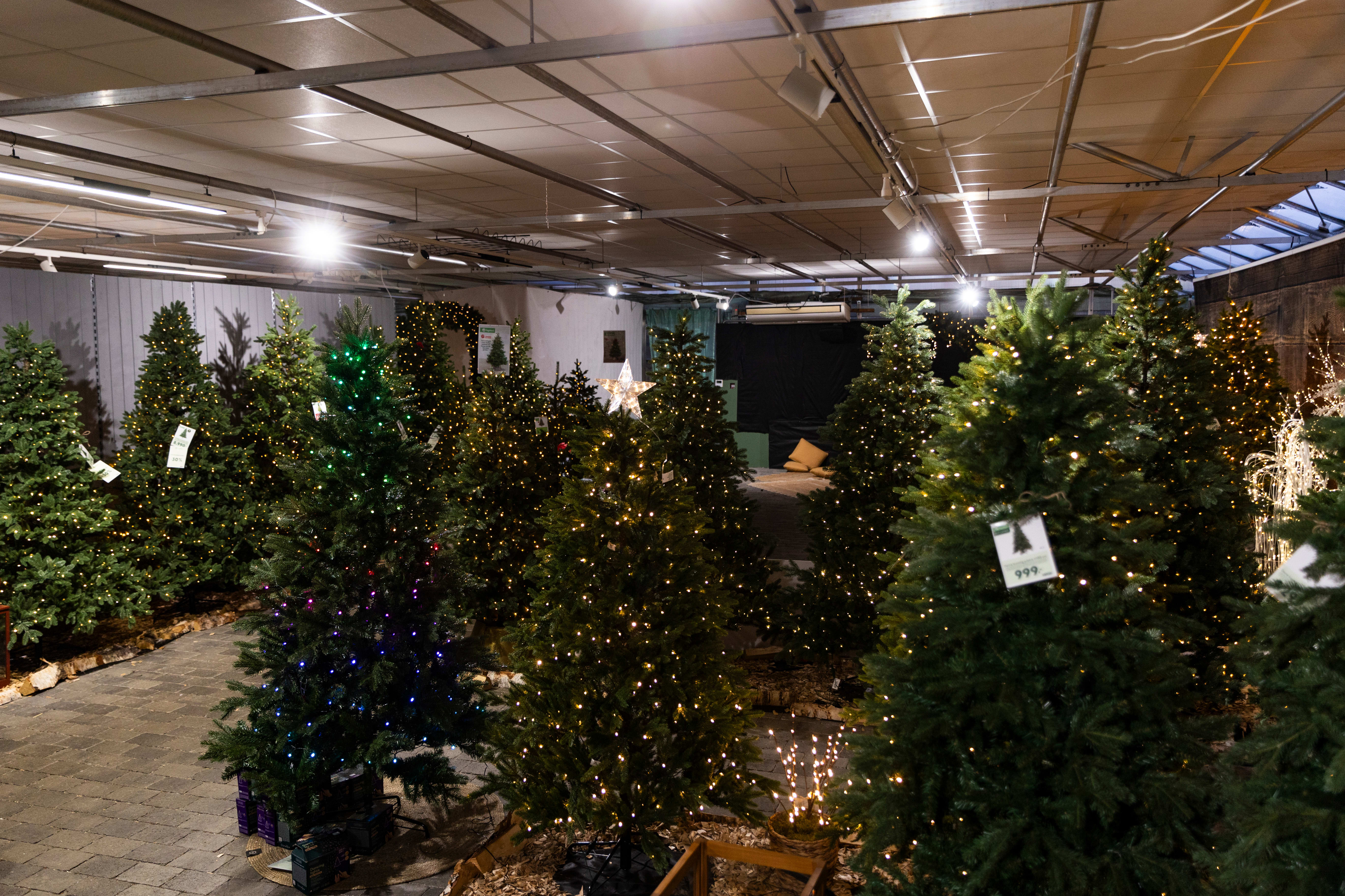 Naturlig juletre eller plast fra Kina?