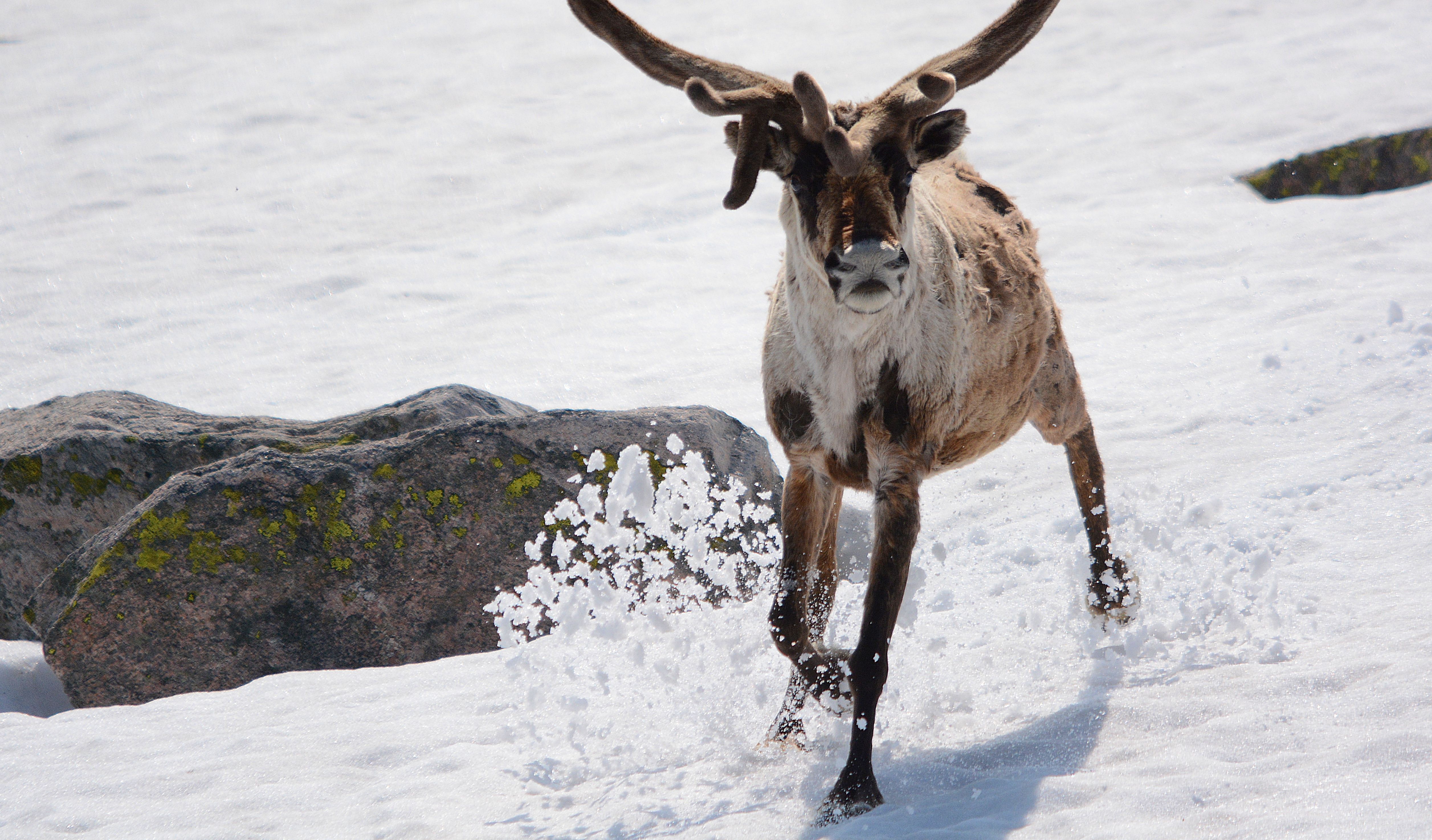 Spørsmålet er ikke om vi skal ta hensyn, men om vi er villig til å la det få konsekvenser