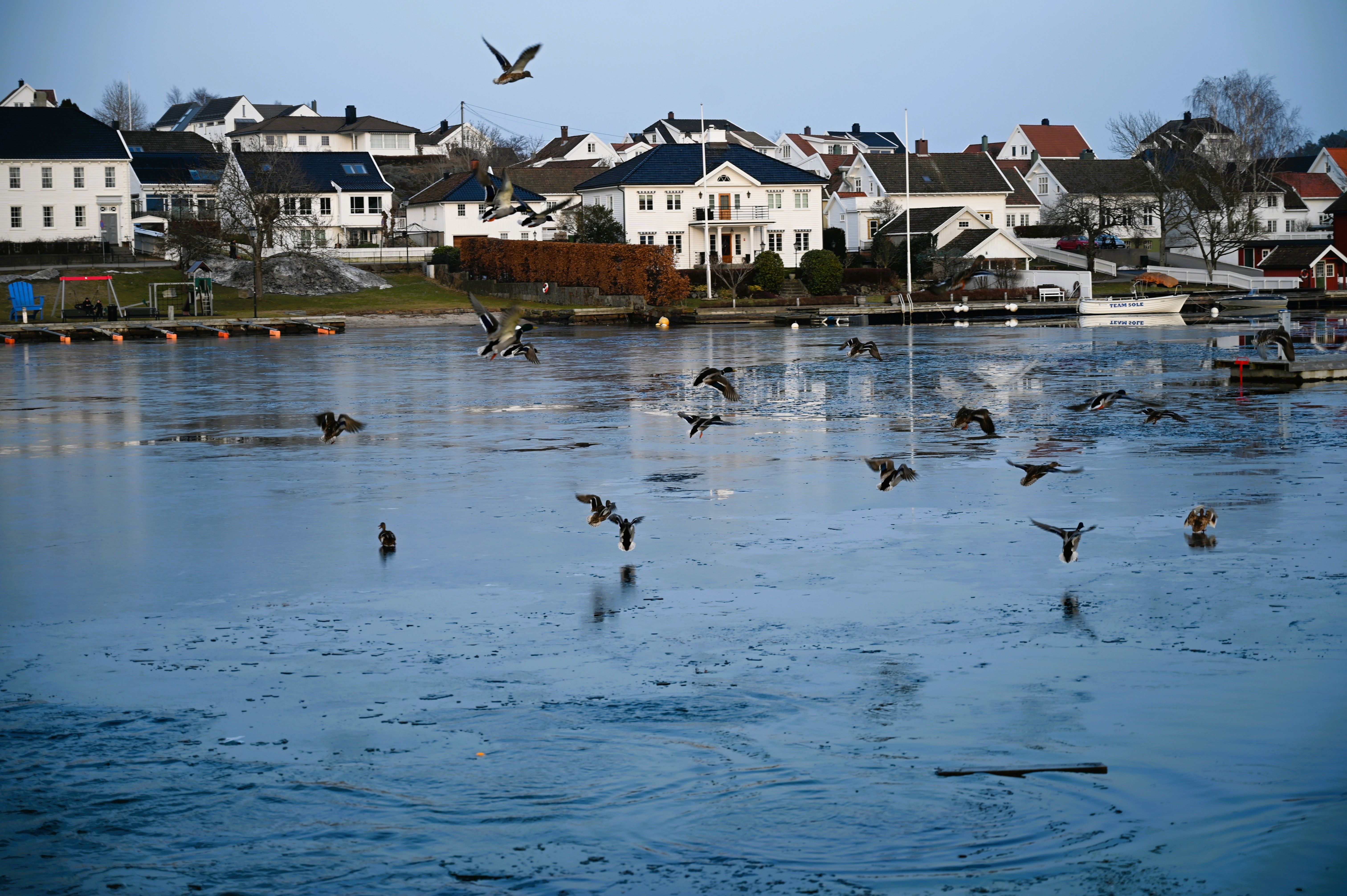 Ryttersenter satt i karantene: – Tar dette på høyeste alvor - lp.no
