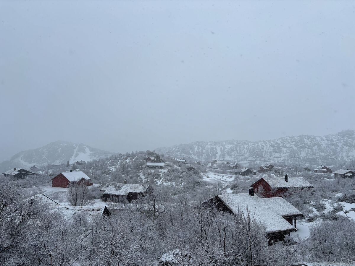 Våknet til snøvær