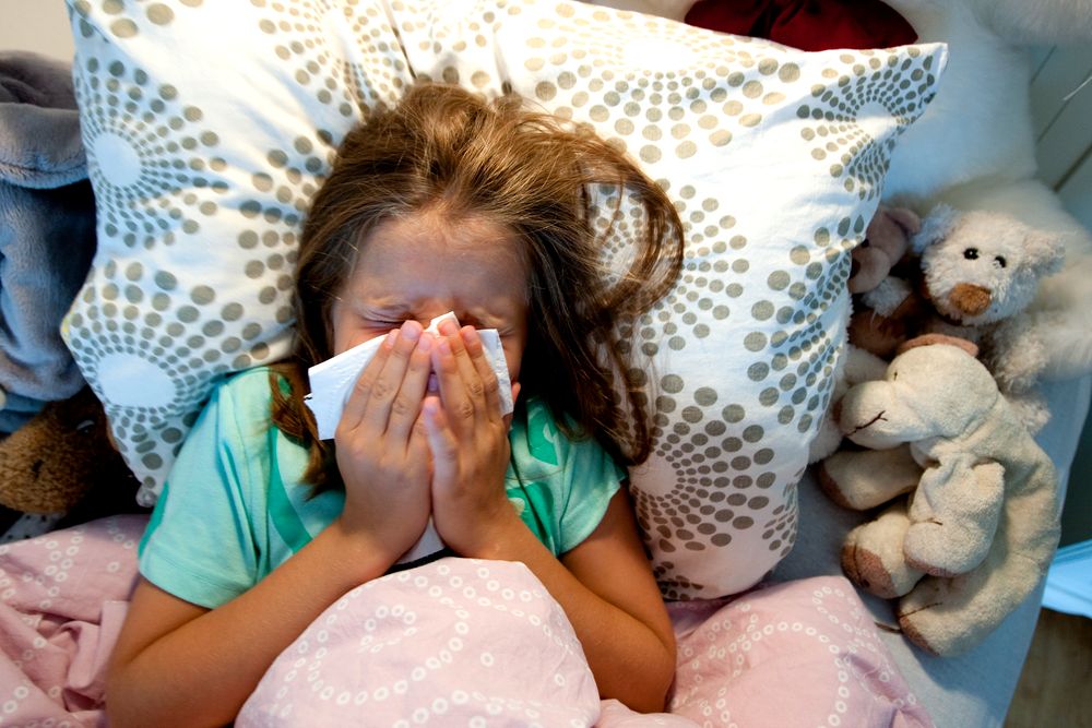 Venter rask økning - Midt-Norge skiller seg ut