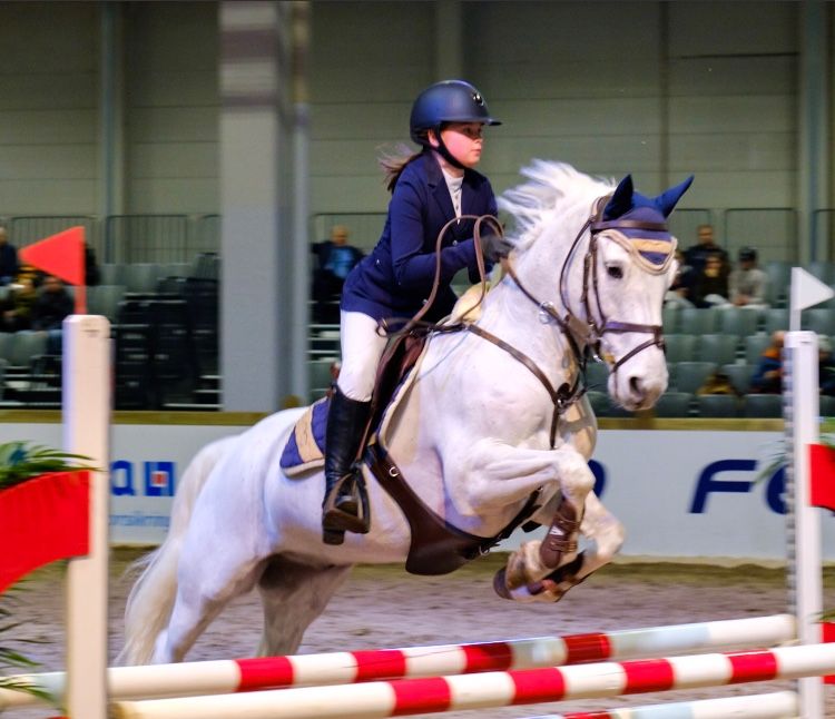 Sørlendinger skinte i Norwegian Horse Festival 