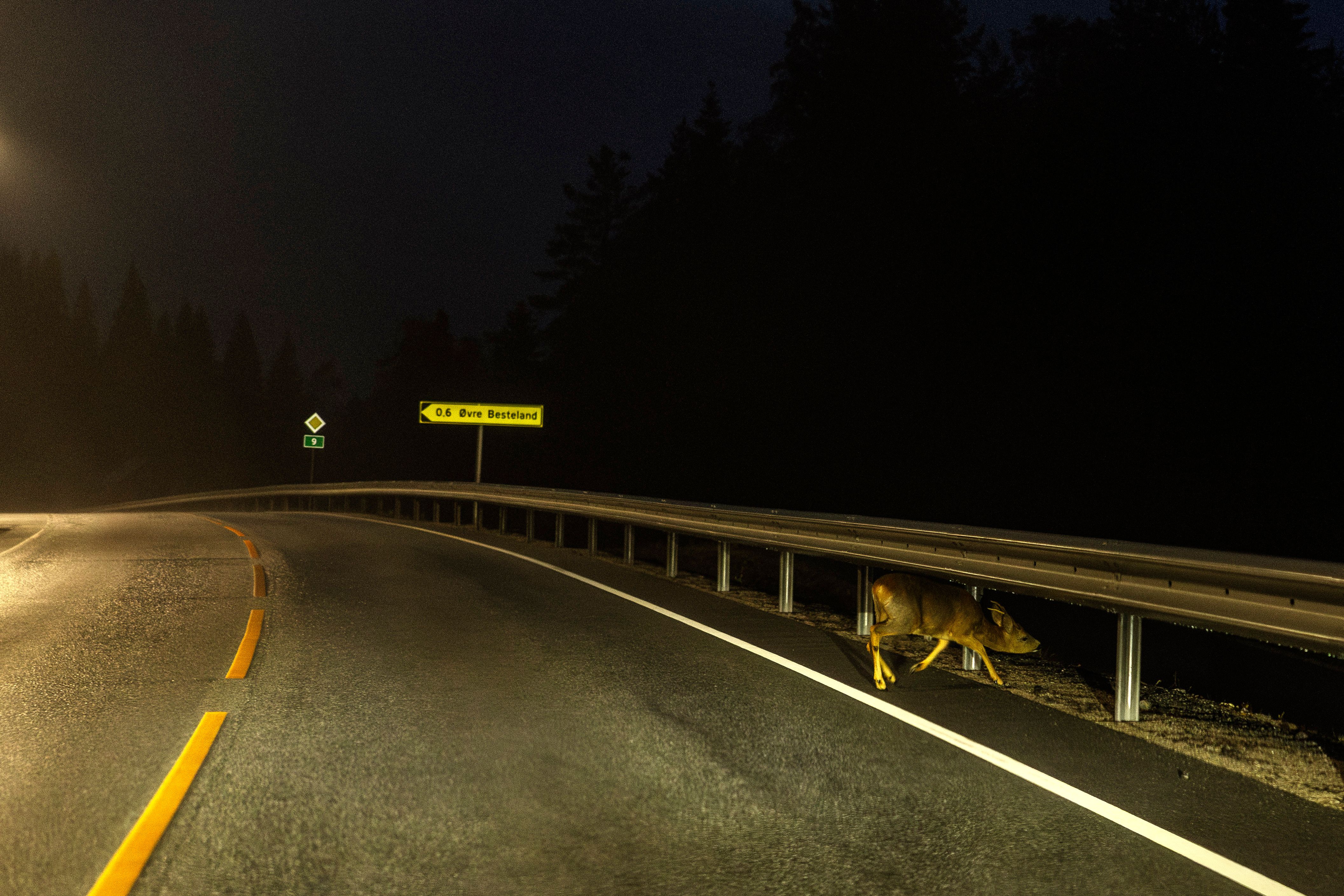 Se fotografens stemningsbilder fra Setesdal