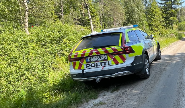 Skal ha banket opp mann og forlatt ham i skogen