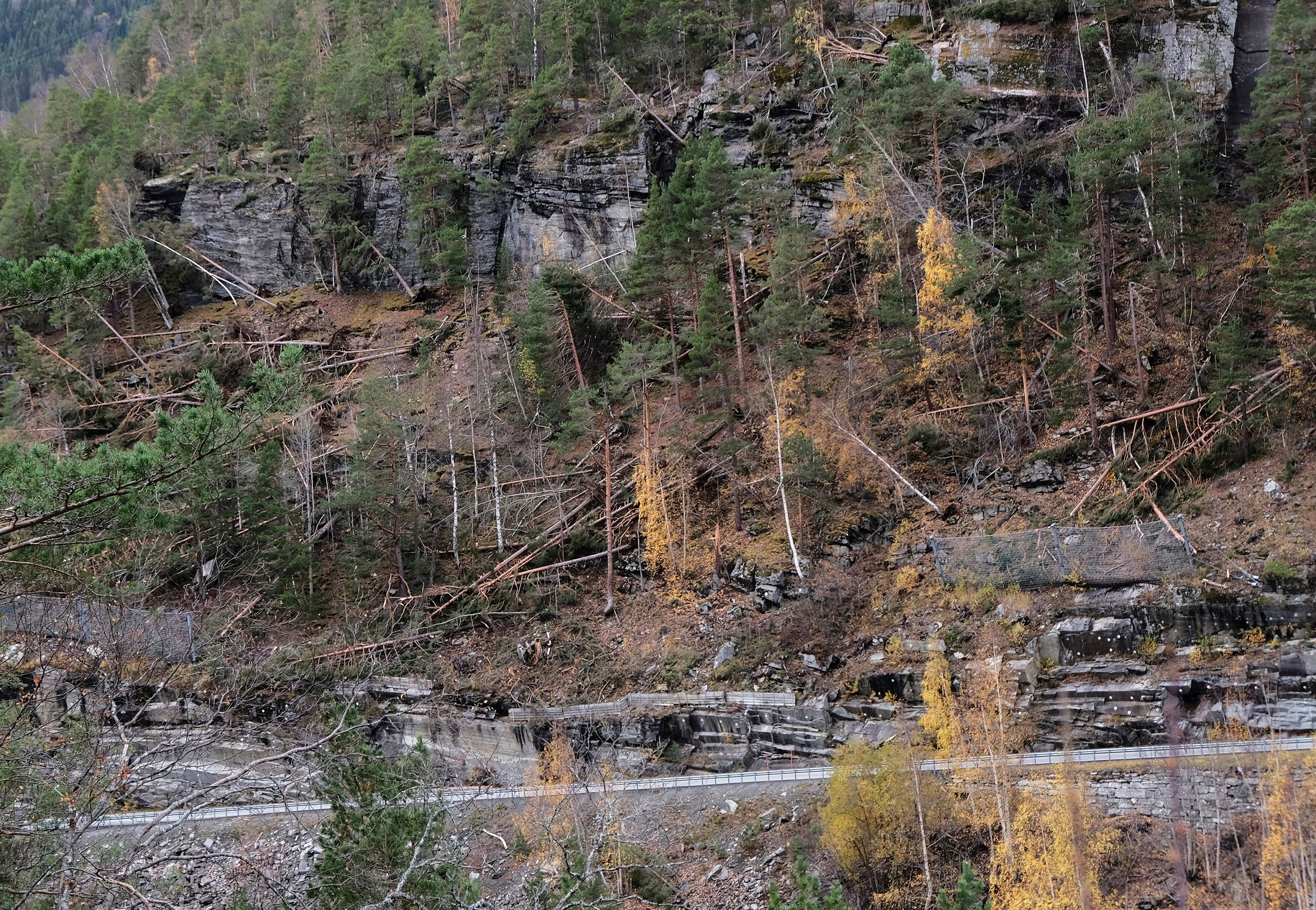 flere-tr-r-henger-over-veibanen-driva-no