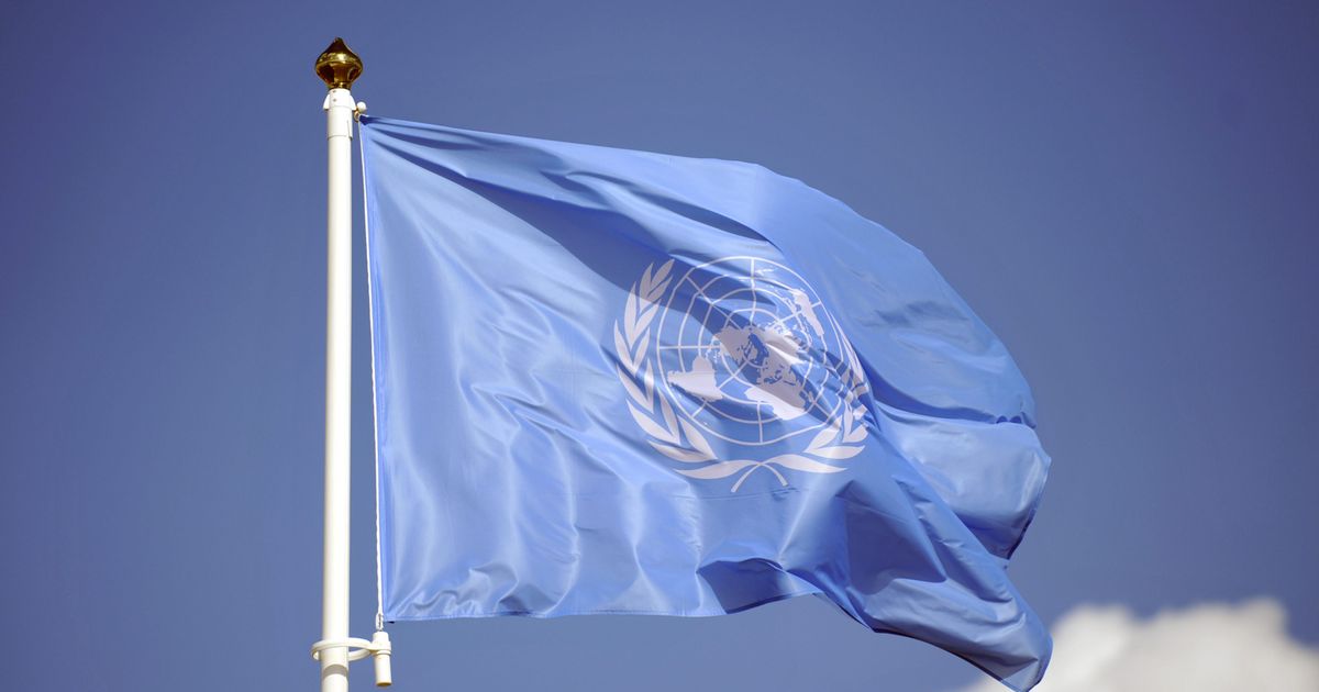 UN agreement to combat “biopirates” – adressa.no