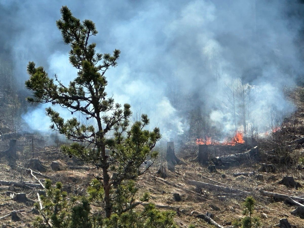 Sørlands­banen stengt på grunn av brann