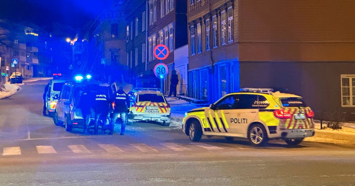 Bevæpnet Politi Rykket Ut Til Møllenberg Natt Til Lørdag Adressano