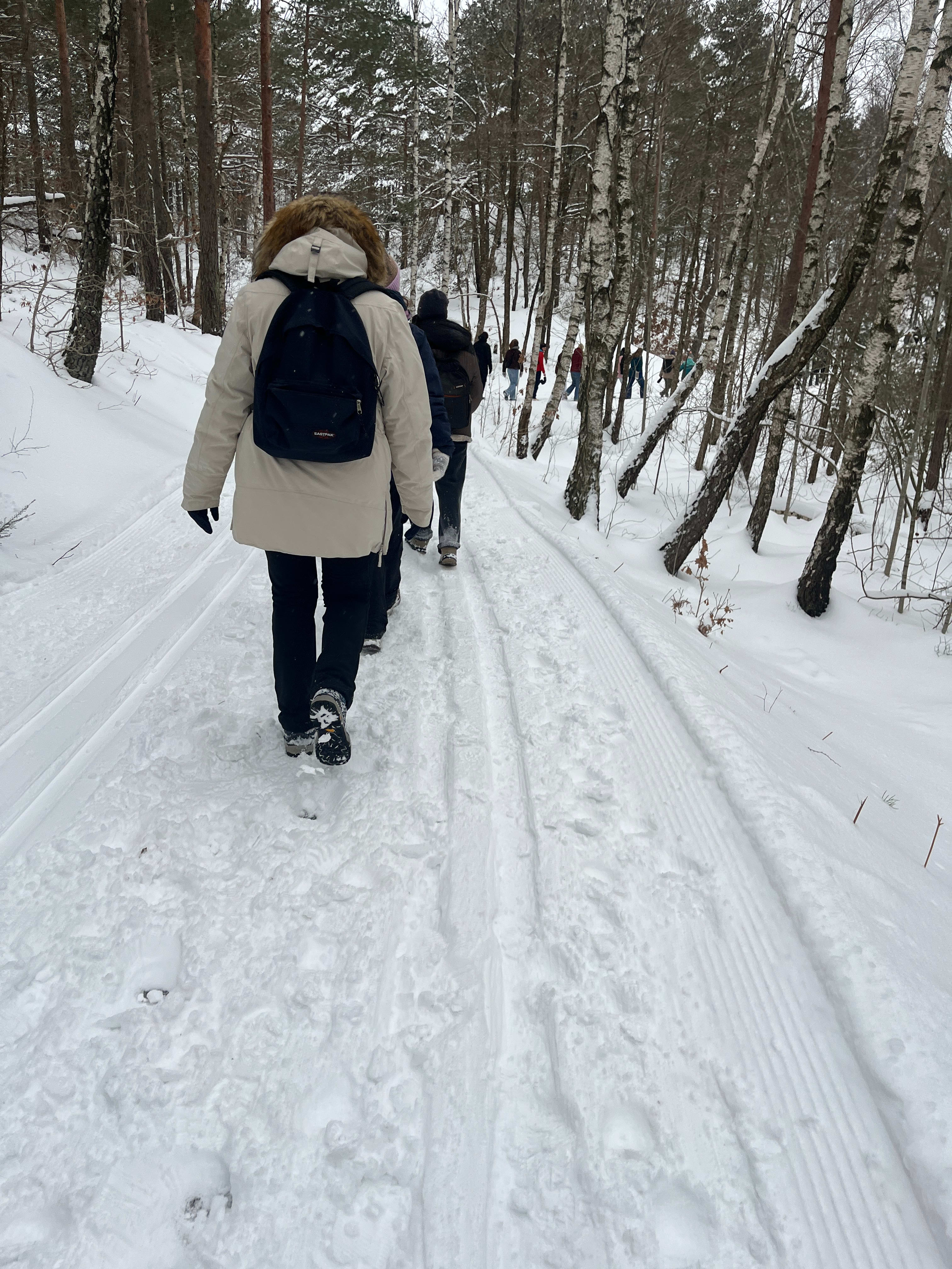 Tråkker i stykker løypa: – Hva i alle dager?