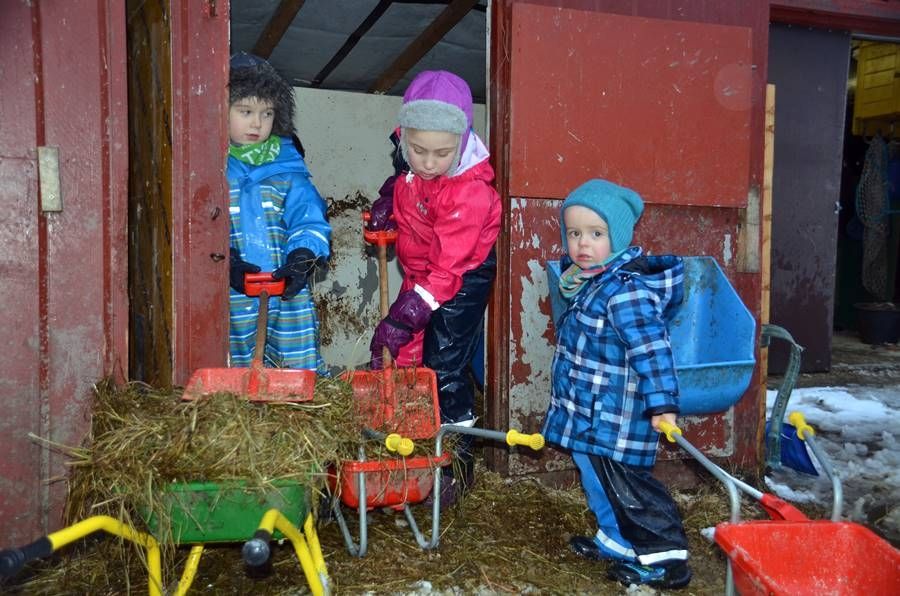 Barna i Bukkspranget gårds- og naturbarnehage er med på slakting - s-n.no