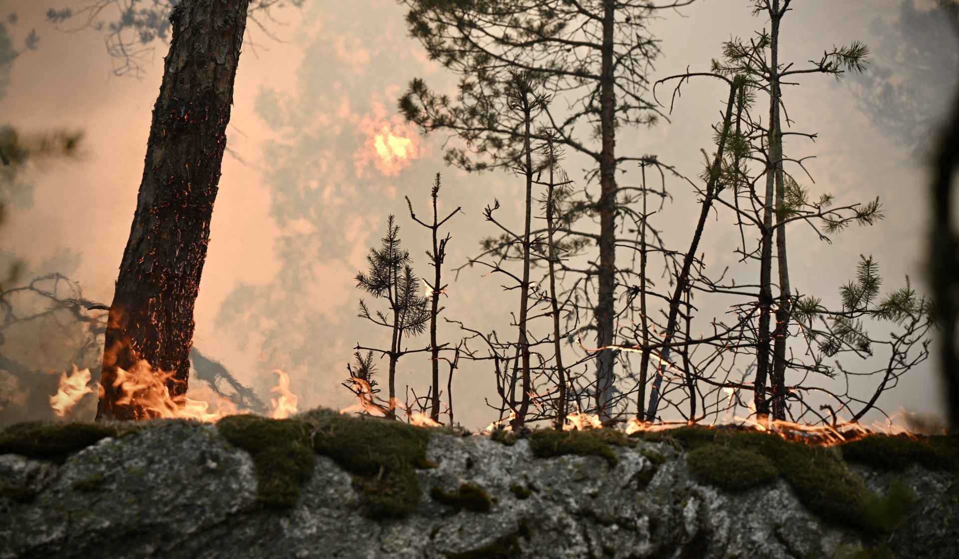 Klimasaken havner i skyggen av krig
