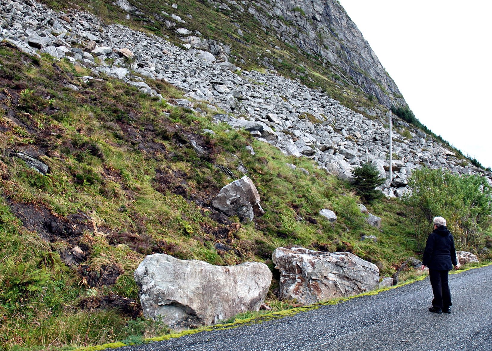 Frykter nye ras - fjt.no