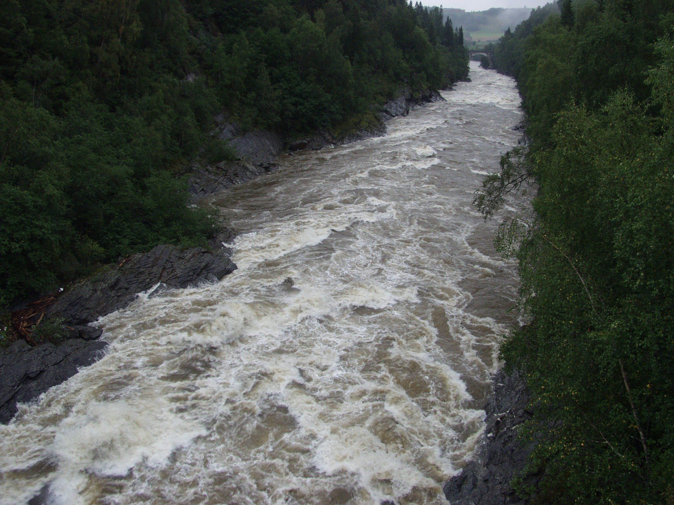 Laksen Passerer Gaulfossen Tronderbladet no