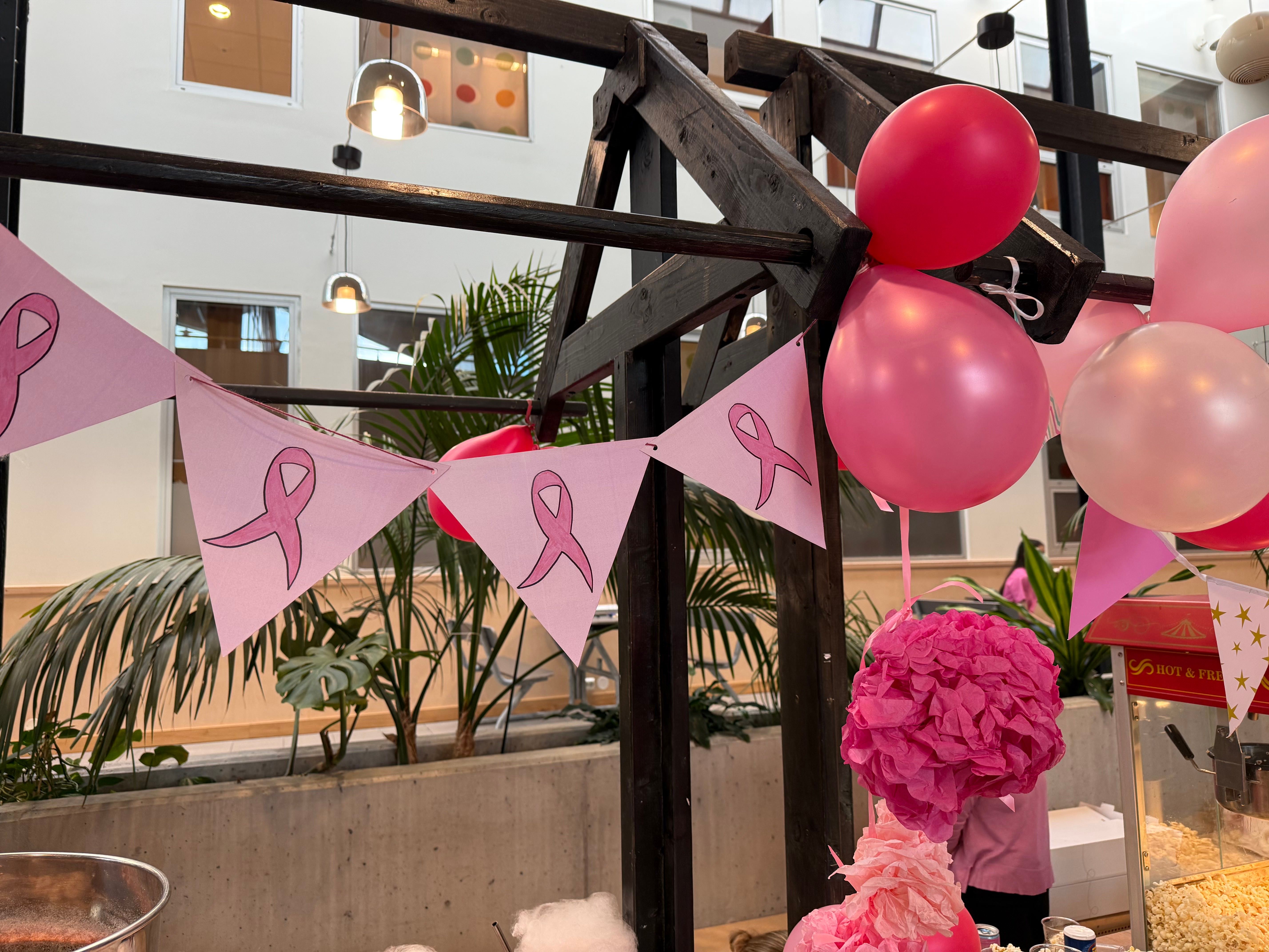 Borgund ble farget rosa: – Brystkreft er et viktig tema - aesby.no