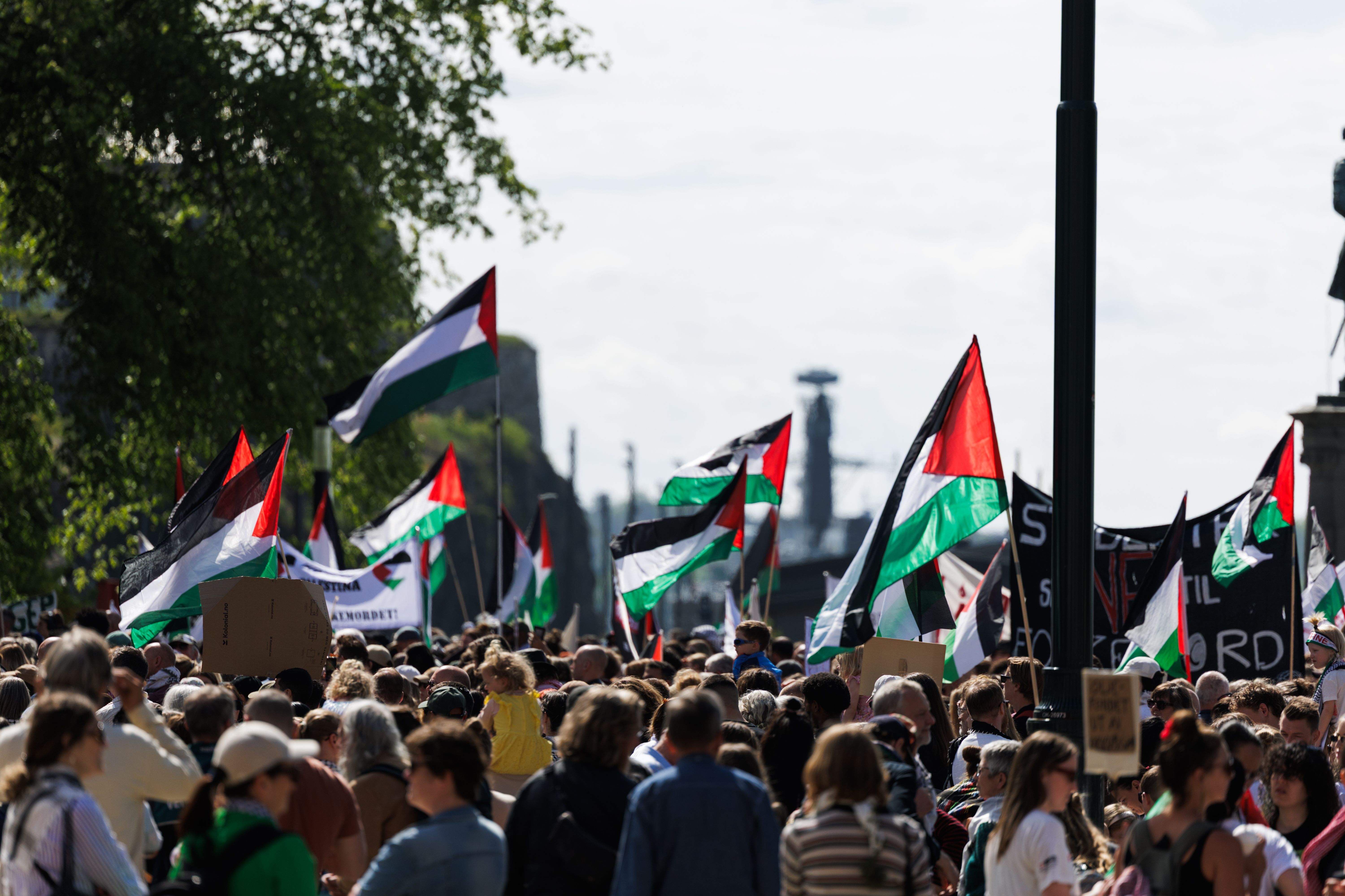 Pro-Palestine demonstrations across Norway today