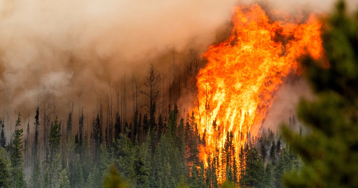 Forest fires in Canada have ravaged an area the size of Iceland
