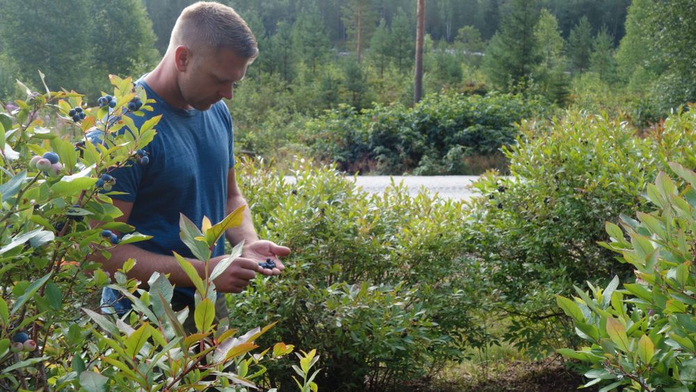 Garden Rorlegger