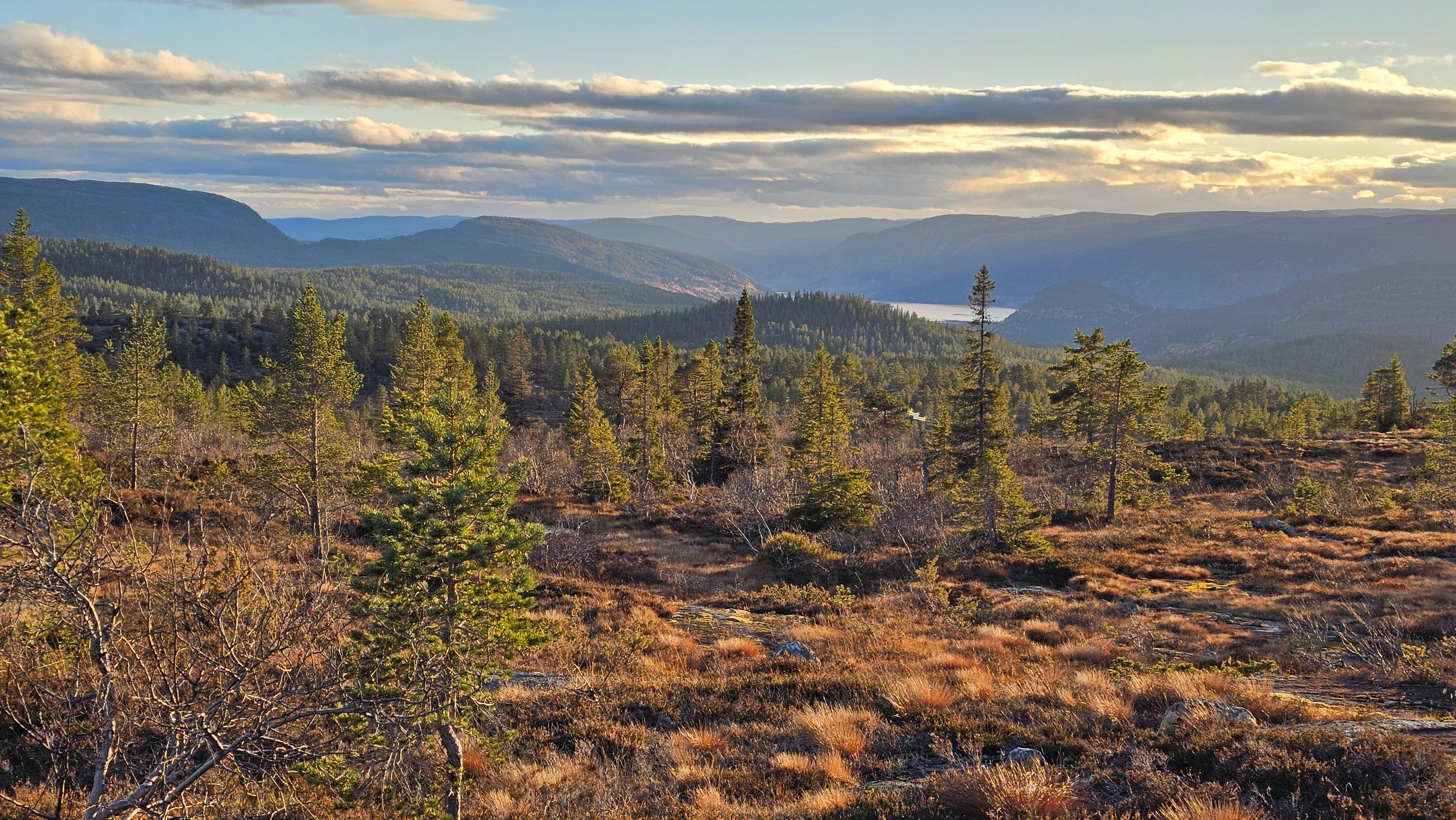 Å Energis løftebrudd må avvises!