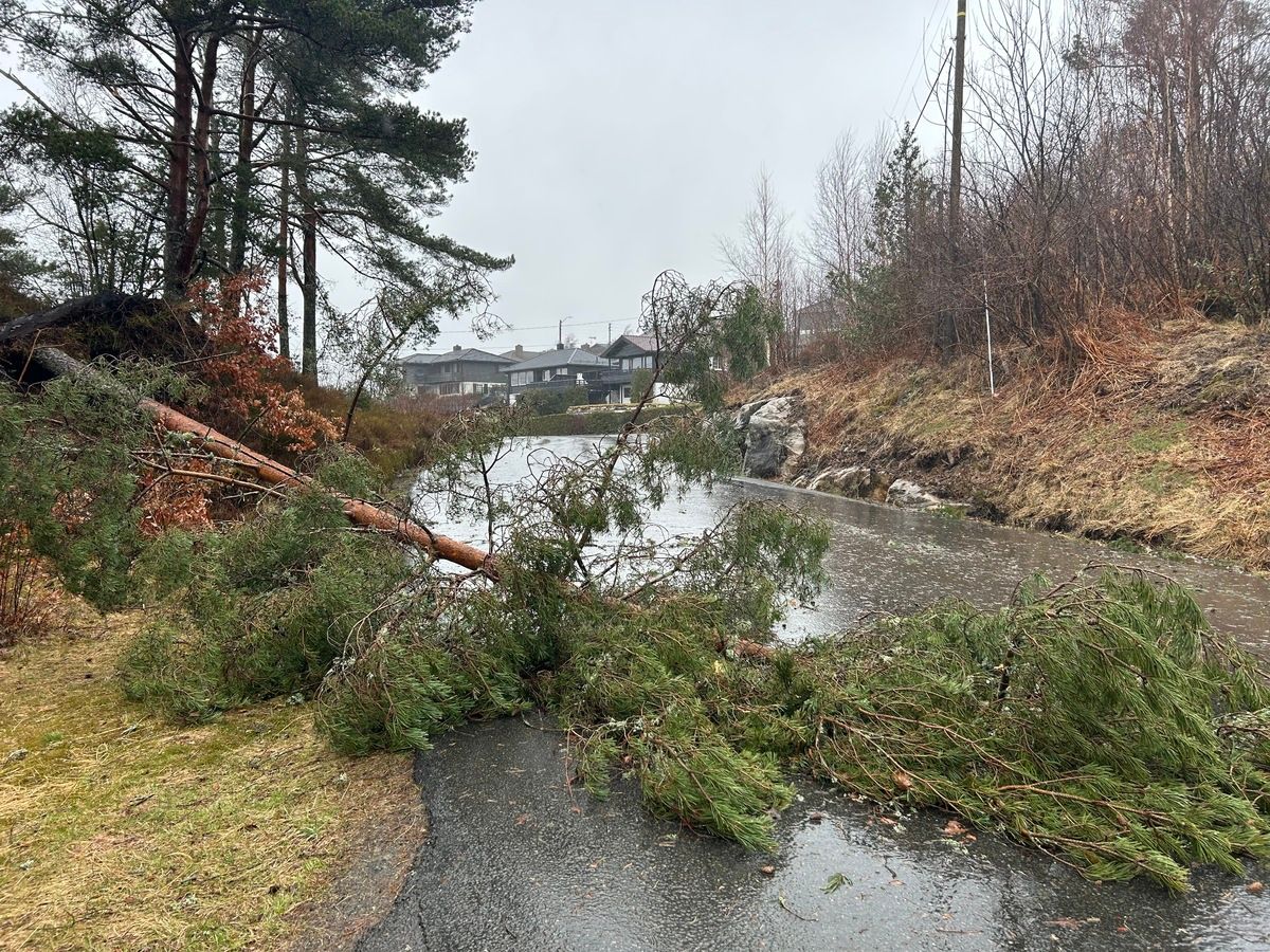 Tre falt over vei i boligfelt