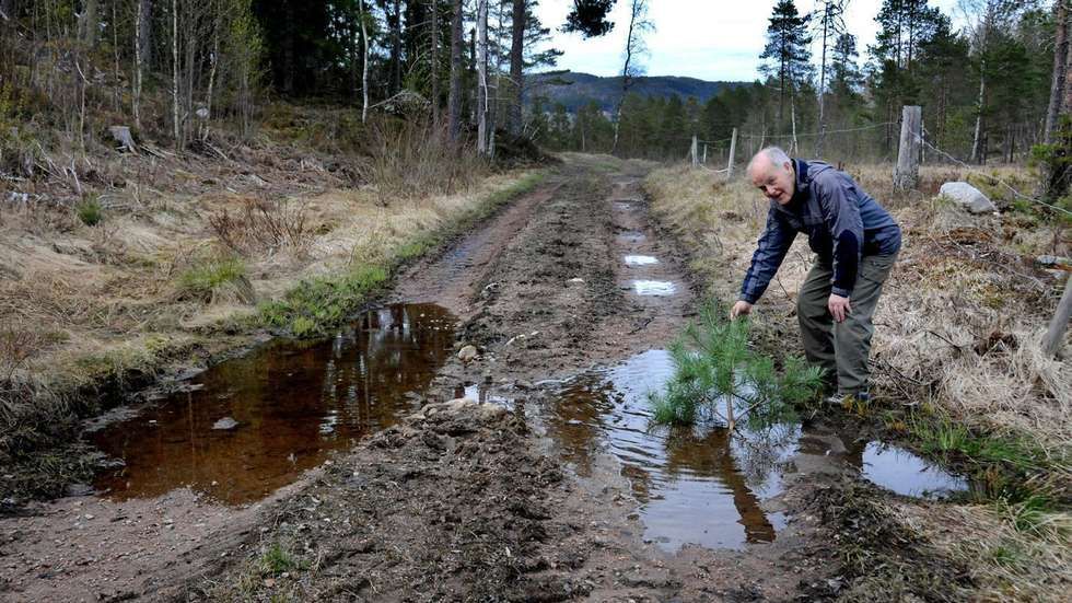 Gulltransport på gjørmeveg - rbnett.no