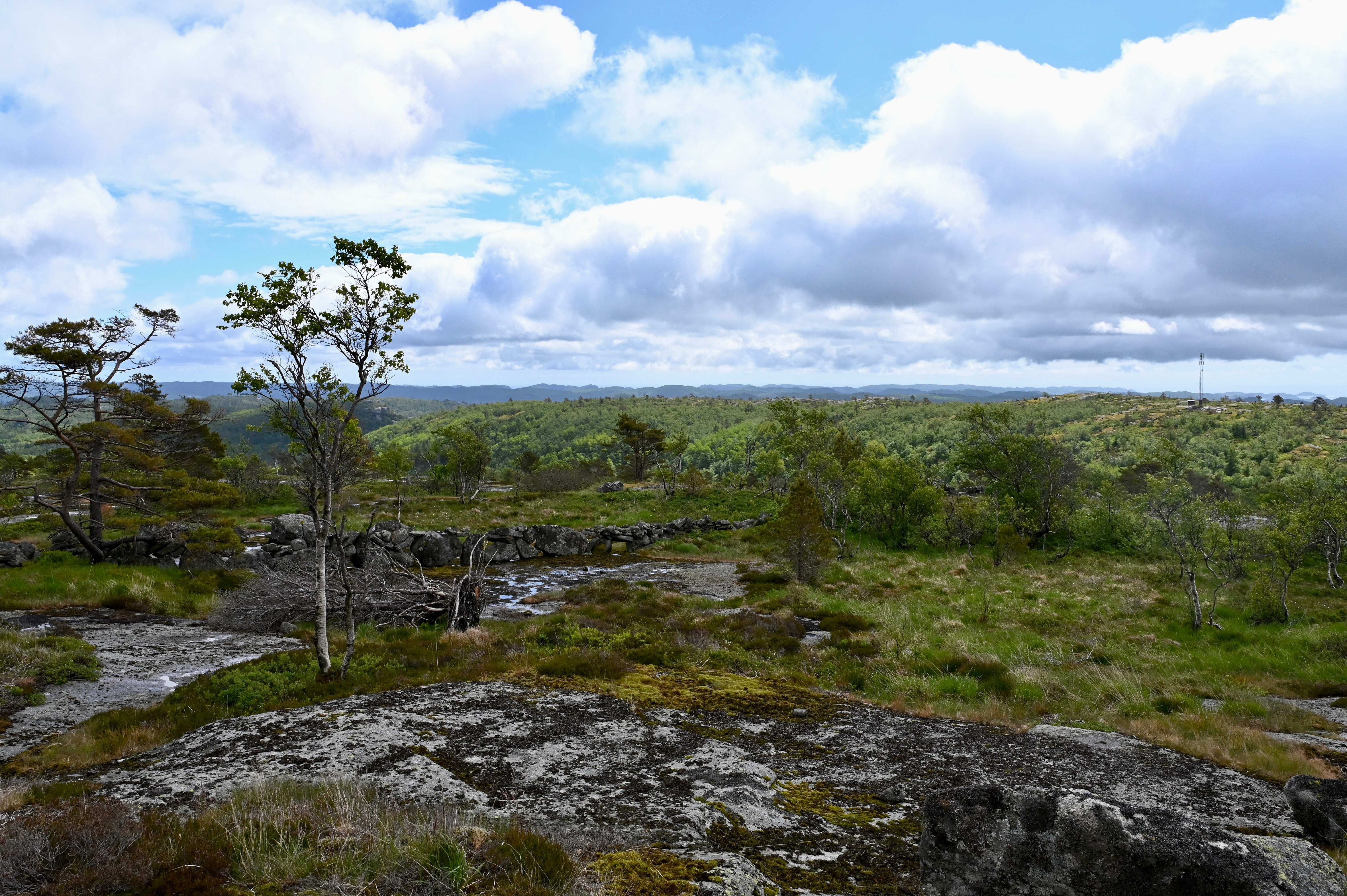 «Vi kan ikke ukritisk bygge ned norsk natur for å redde verden uten å se den store sammen­hengen…»