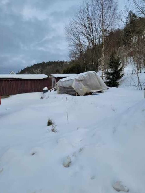 Fortviler: – Det går over alle grenser