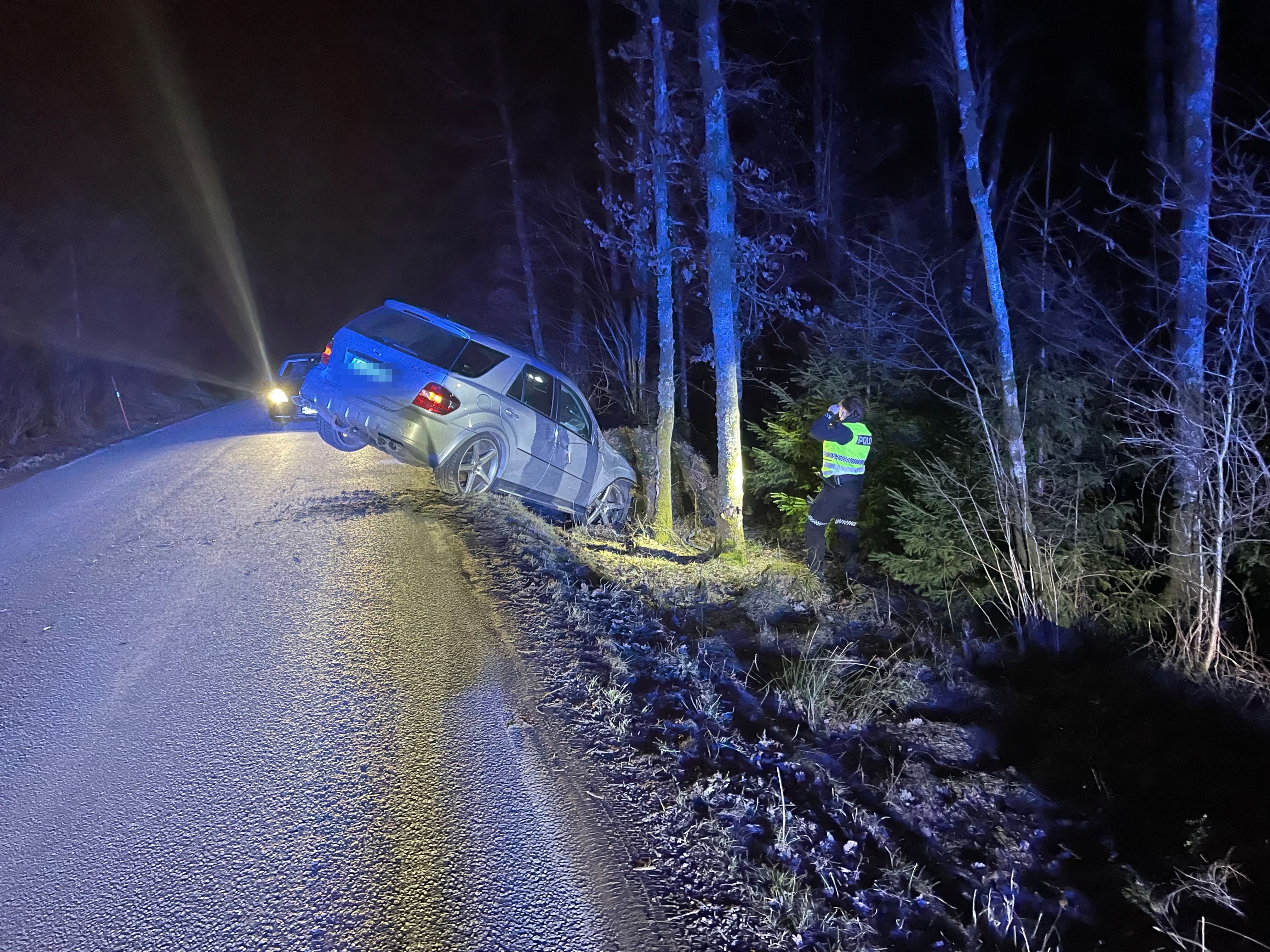 Utforkjøring på Tregdeveien - l-a.no
