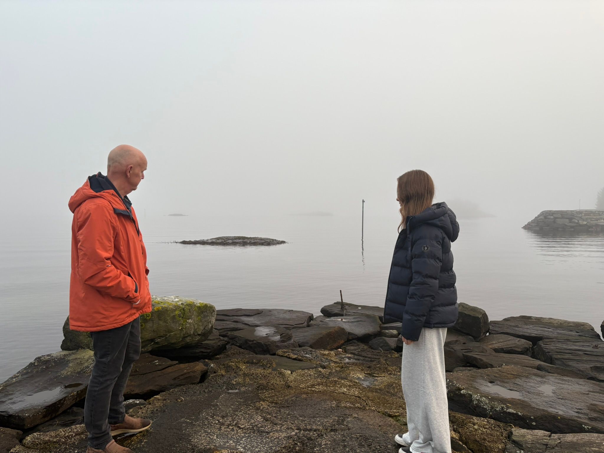 Staten sier nei til oppdrett ved Alstein: – Bra for fjordene våre ...