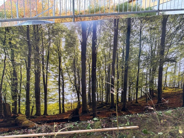 Mur ble forvandlet – gleder seg over forbedret utsikt