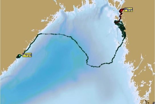 Forbløf­fer fors­kerne: – Har aldri sett det før